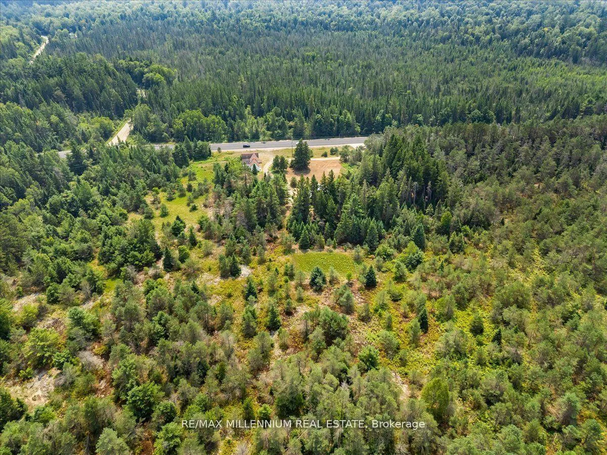 Photo 36 of 3529 Highway 118 E, Bracebridge, Oakley — HOMEH