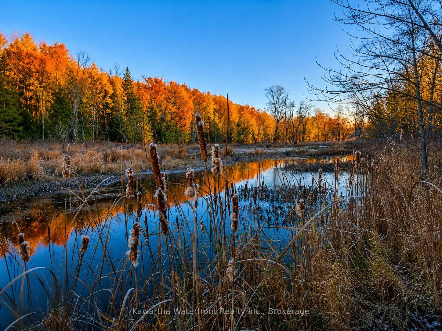 Photo 30 of 261 Shadow Lake 4 Road, Kawartha Lakes, Laxton/Digby/Longford — HOMEH