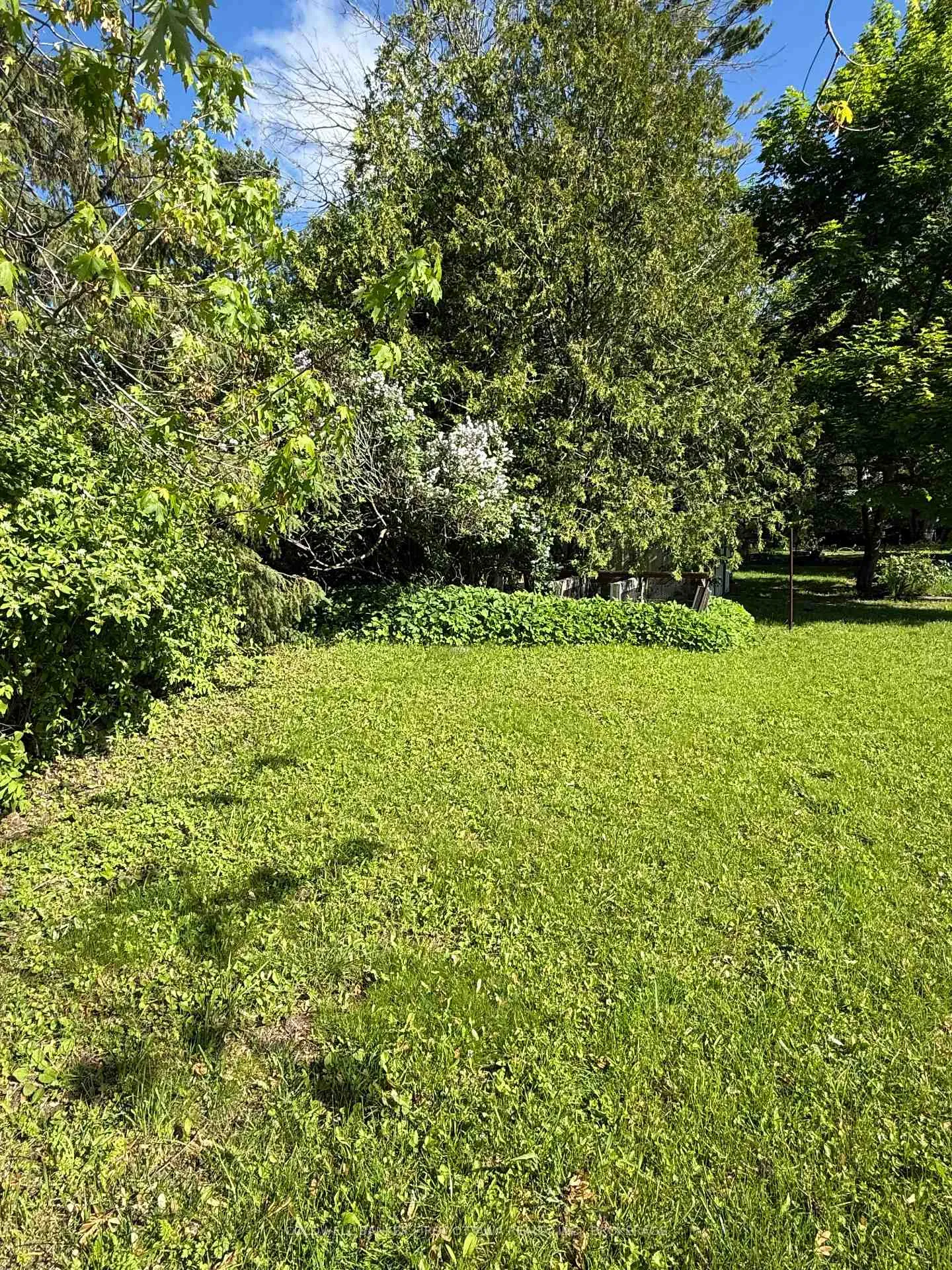 Photo 7 of 1440 Heath Street, Kingston, City Northwest — HOMEH