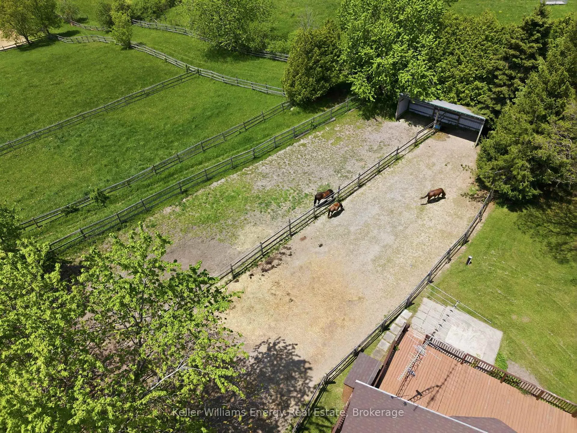 Photo 6 of 9770 Garrard Road, Whitby, Rural Whitby — HOMEH
