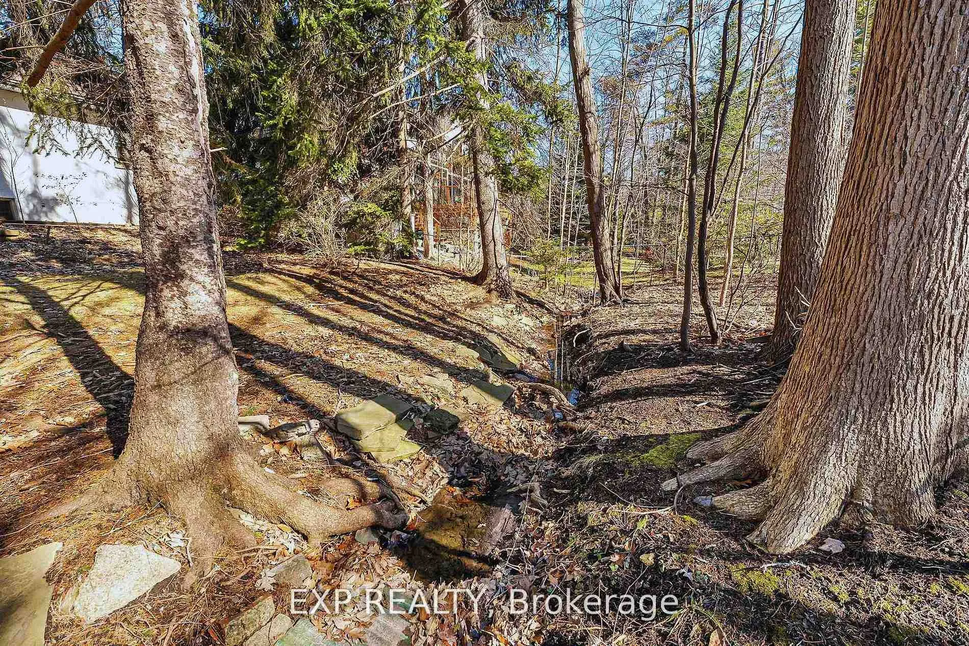 Photo 9 of 1252 Mona Road, Mississauga, Mineola — HOMEH