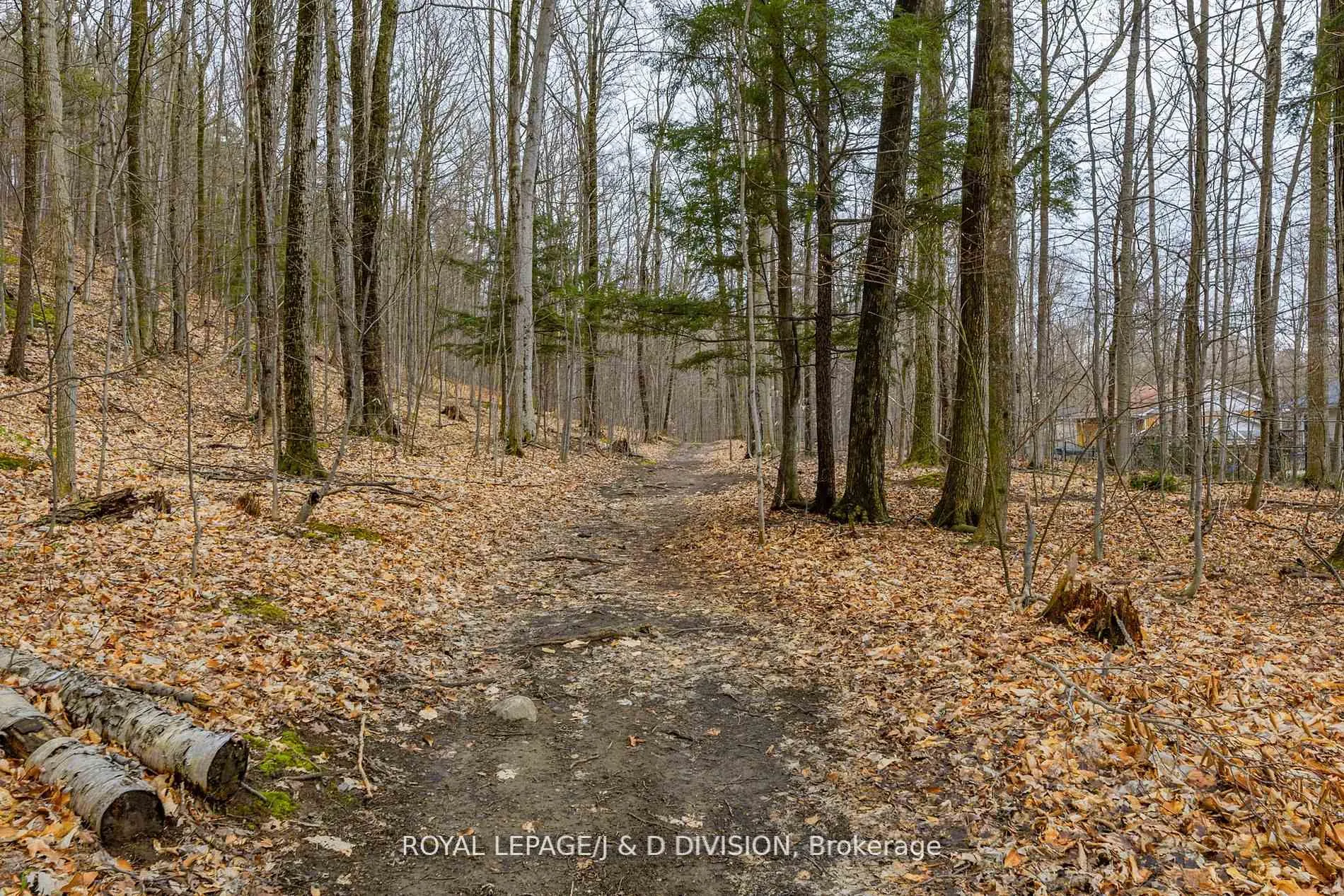Photo 32 of 123 Desroches Trail, Tiny, Rural Tiny — HOMEH