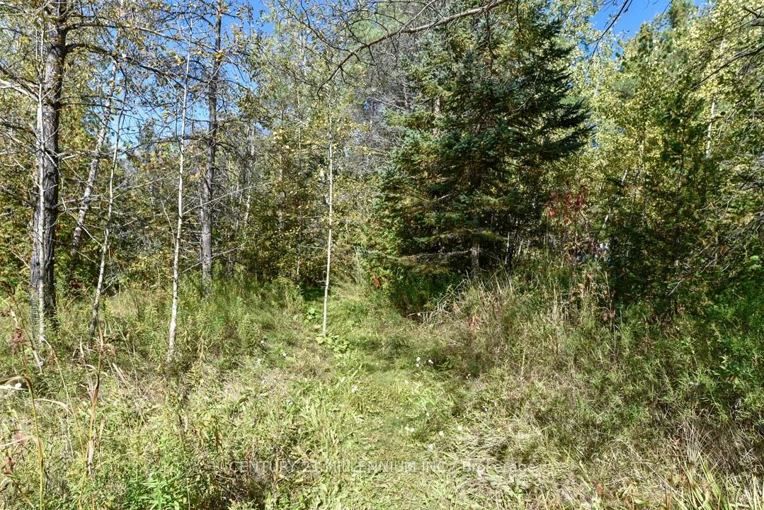 Photo 48 of 19976 Kennedy Road, Caledon, Rural Caledon — HOMEH