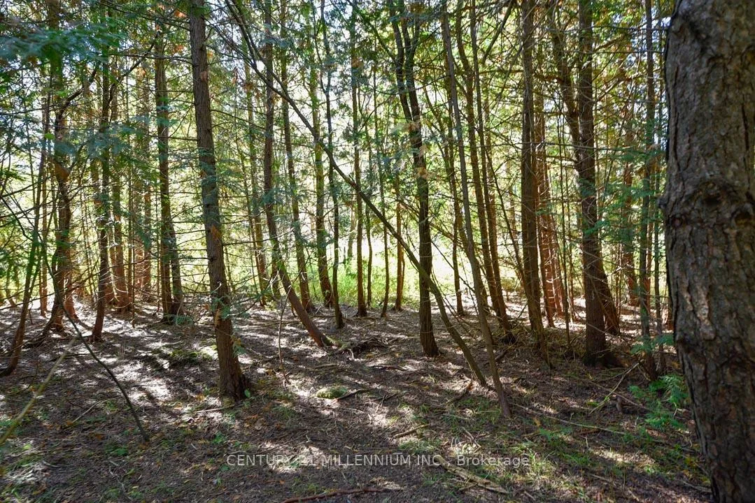 Photo 49 of 19976 Kennedy Road, Caledon, Rural Caledon — HOMEH