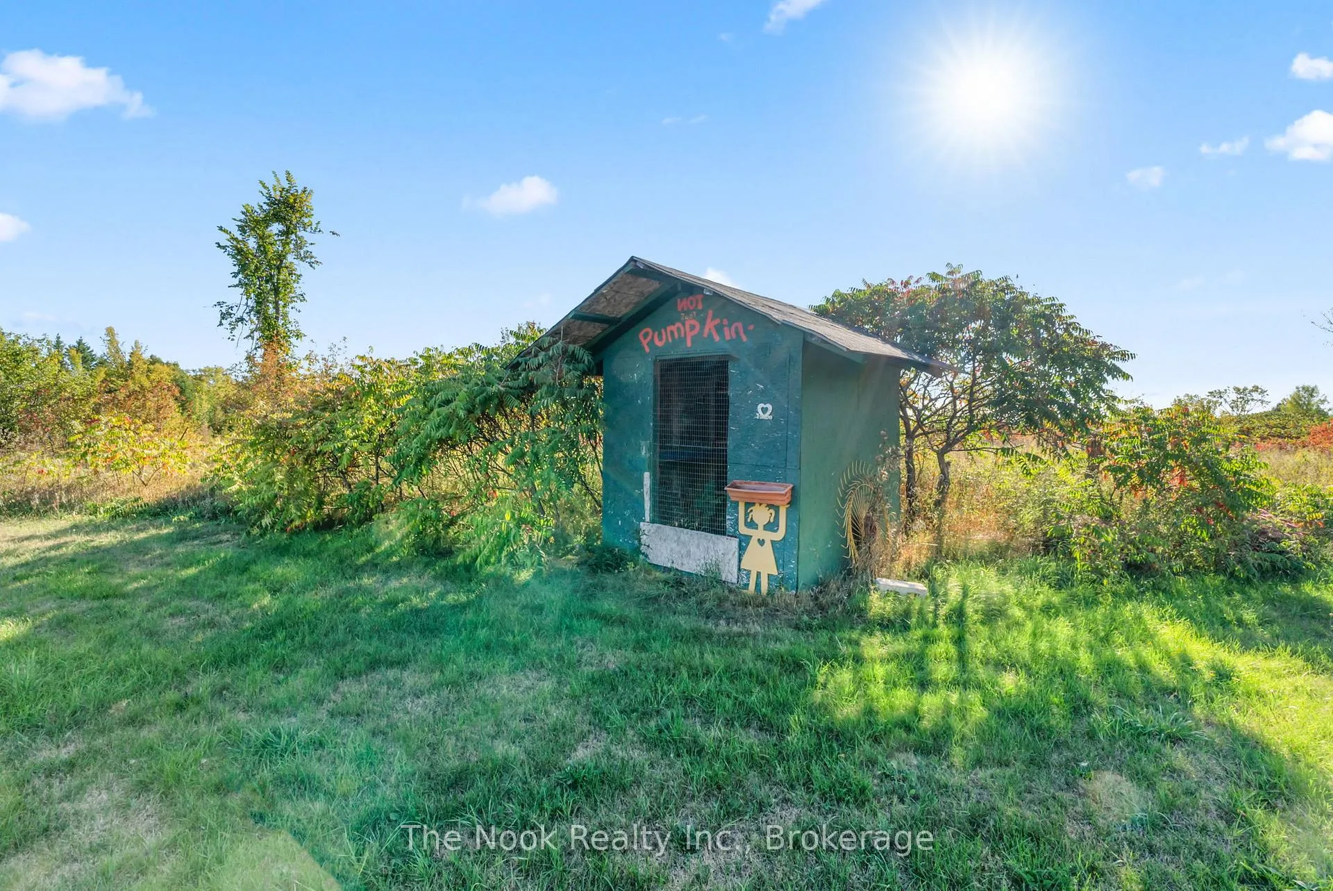 Photo 28 of 46 Mcguire Beach Road, Kawartha Lakes, Carden — HOMEH