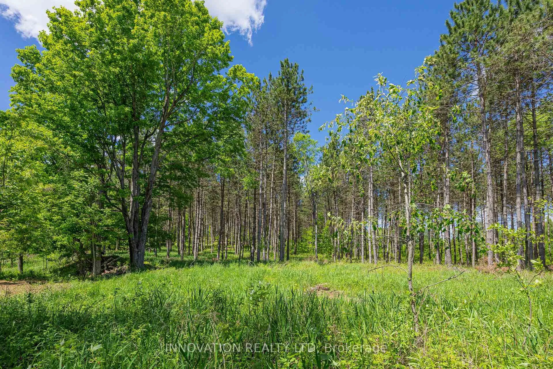 Photo 4 of 354 McCulloch Road, Lanark Highlands, Lanark Highlands (Dalhousie) Twp — HOMEH