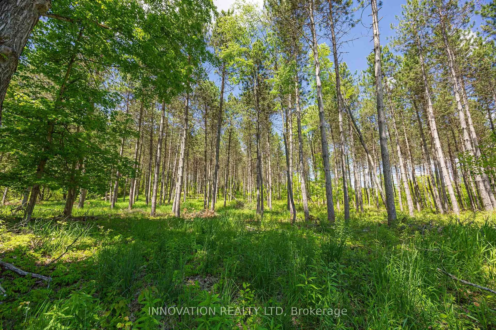 Photo 5 of 354 McCulloch Road, Lanark Highlands, Lanark Highlands (Dalhousie) Twp — HOMEH