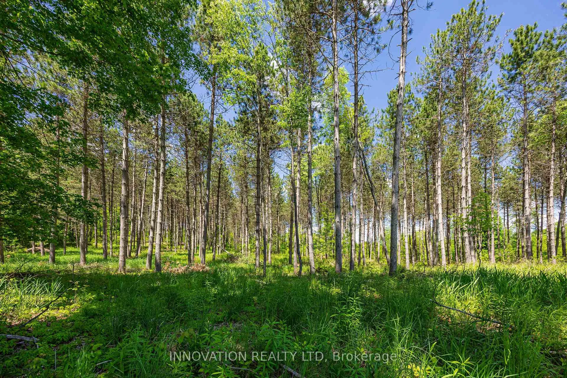 Photo 6 of 354 McCulloch Road, Lanark Highlands, Lanark Highlands (Dalhousie) Twp — HOMEH
