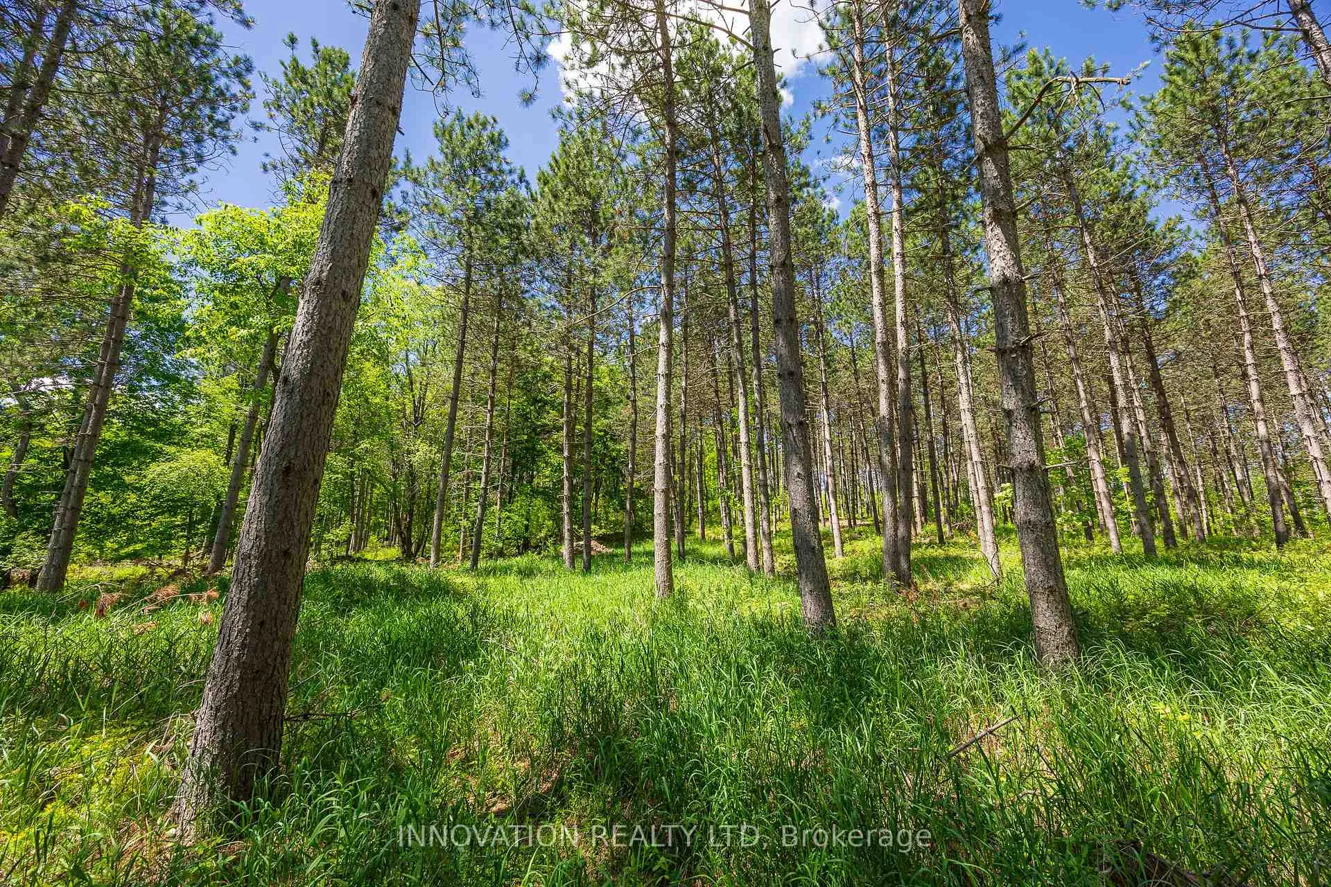 Photo 7 of 354 McCulloch Road, Lanark Highlands, Lanark Highlands (Dalhousie) Twp — HOMEH