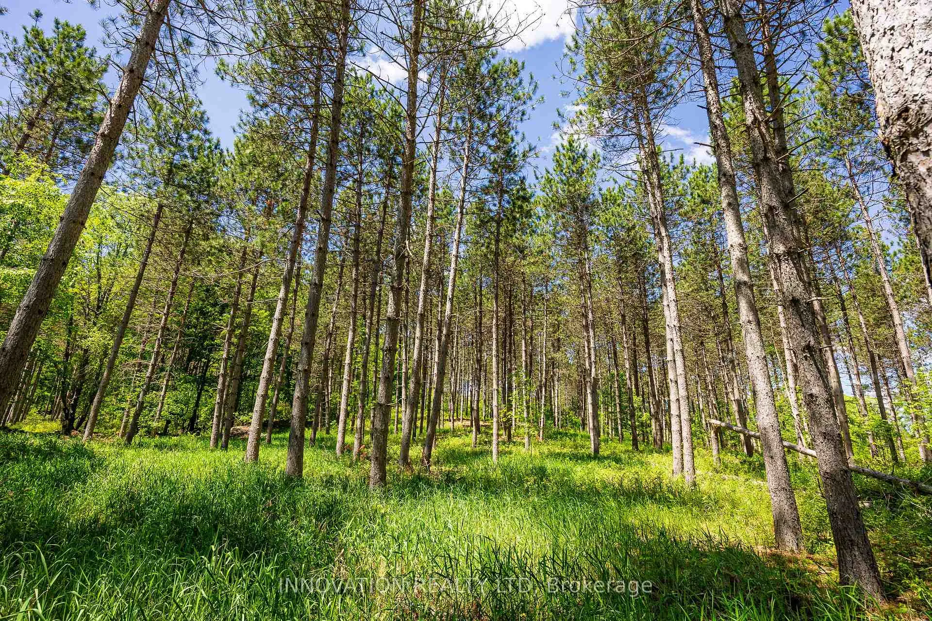 Photo 8 of 354 McCulloch Road, Lanark Highlands, Lanark Highlands (Dalhousie) Twp — HOMEH