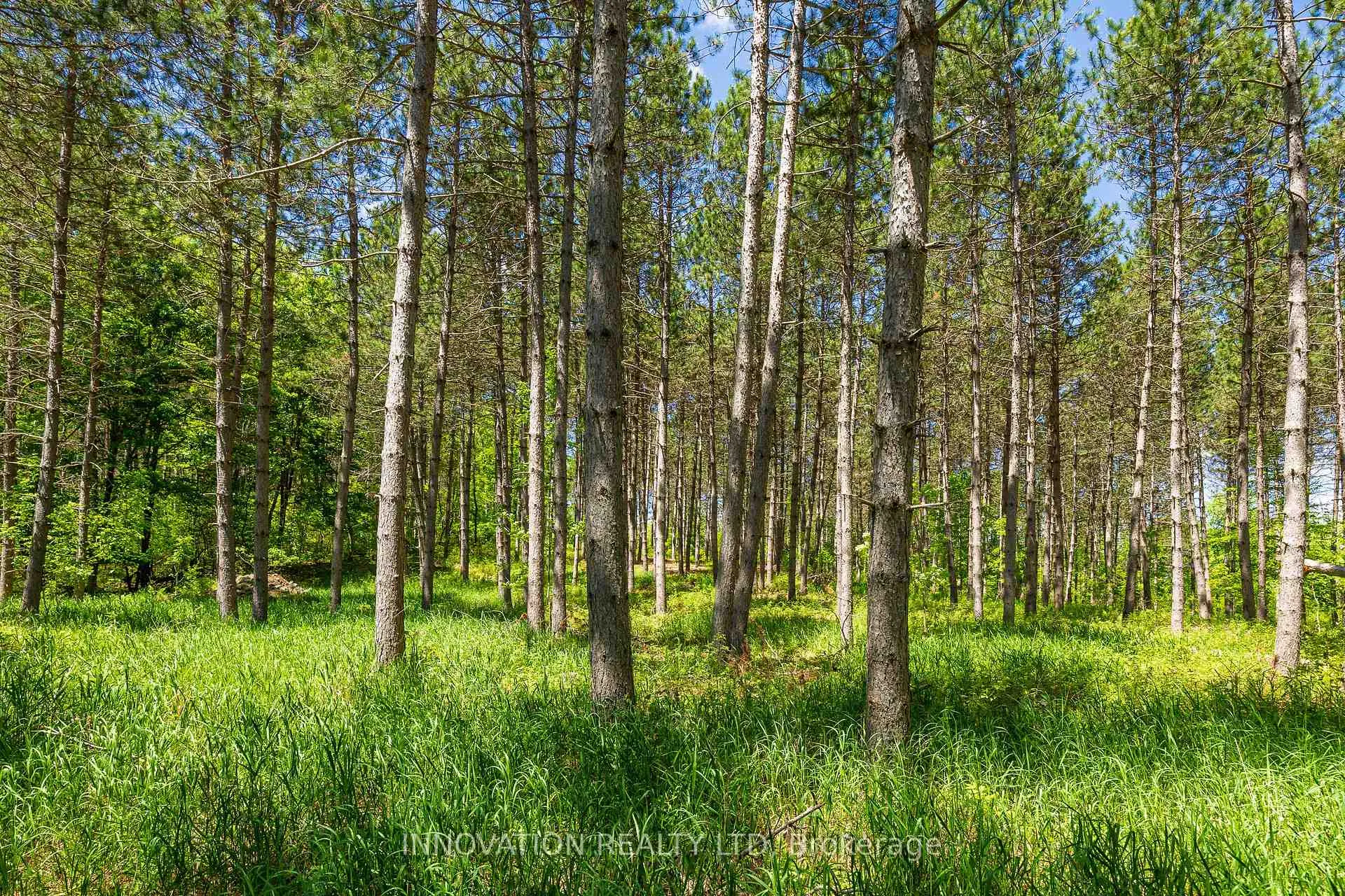 Photo 9 of 354 McCulloch Road, Lanark Highlands, Lanark Highlands (Dalhousie) Twp — HOMEH