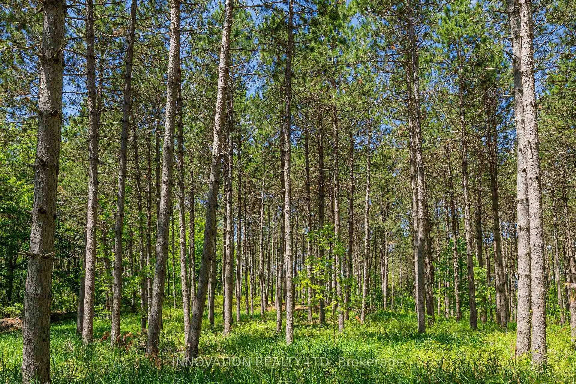 Photo 10 of 354 McCulloch Road, Lanark Highlands, Lanark Highlands (Dalhousie) Twp — HOMEH