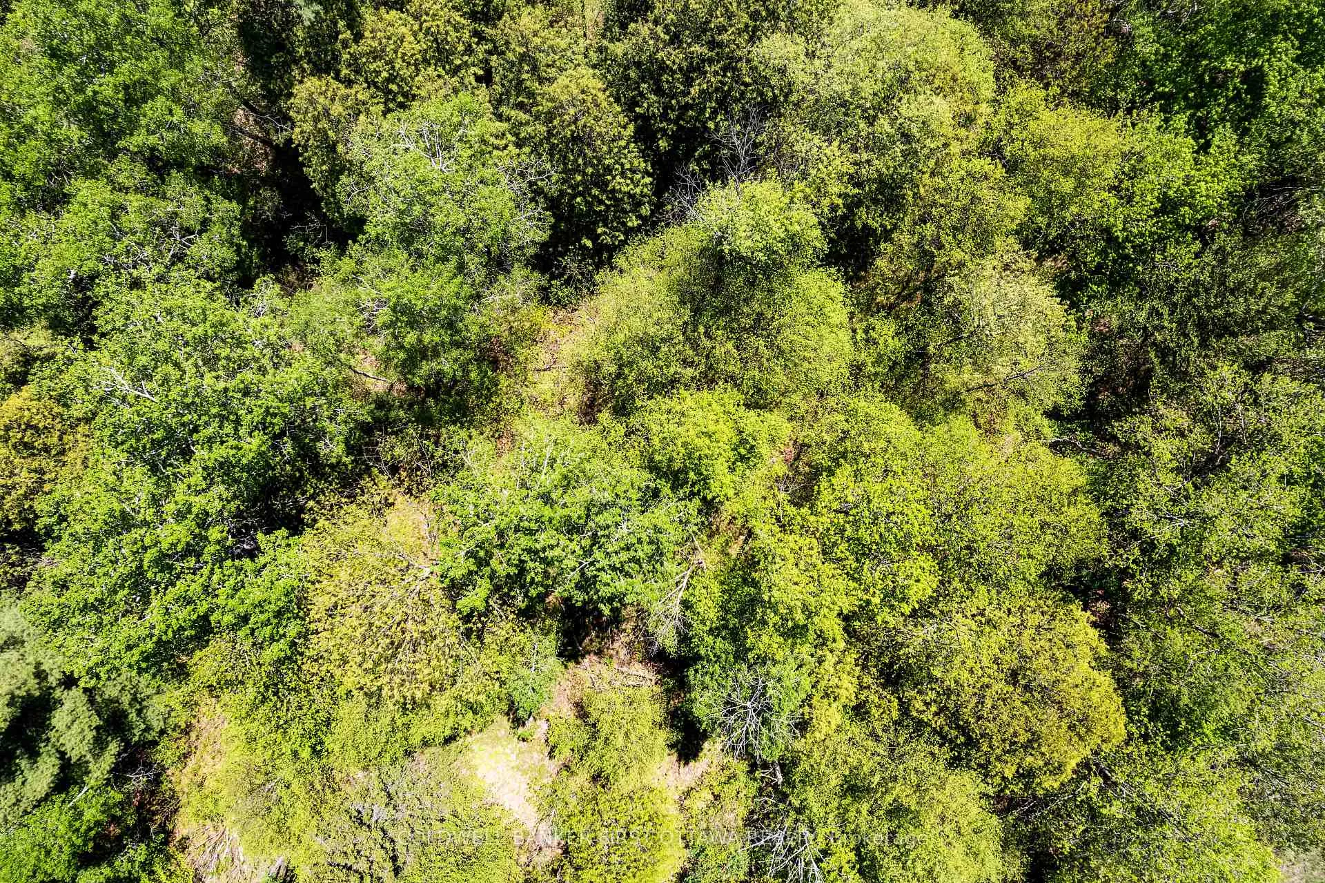 Photo 11 of 00 Dalhousie Concession 3, Lanark Highlands, Lanark Highlands (Dalhousie) Twp — HOMEH