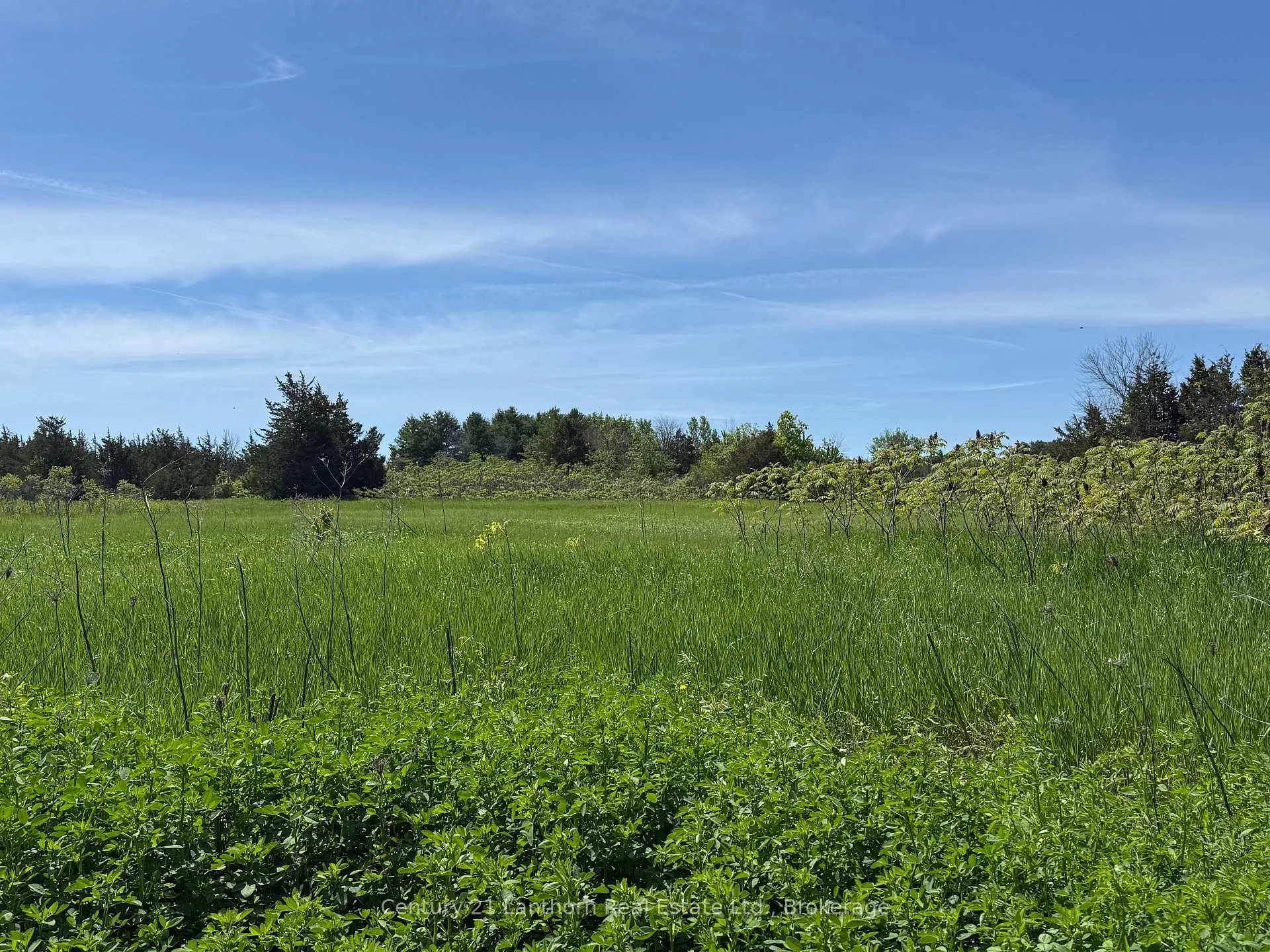 Front of Lot 58 Prinyer's Cove Crescent