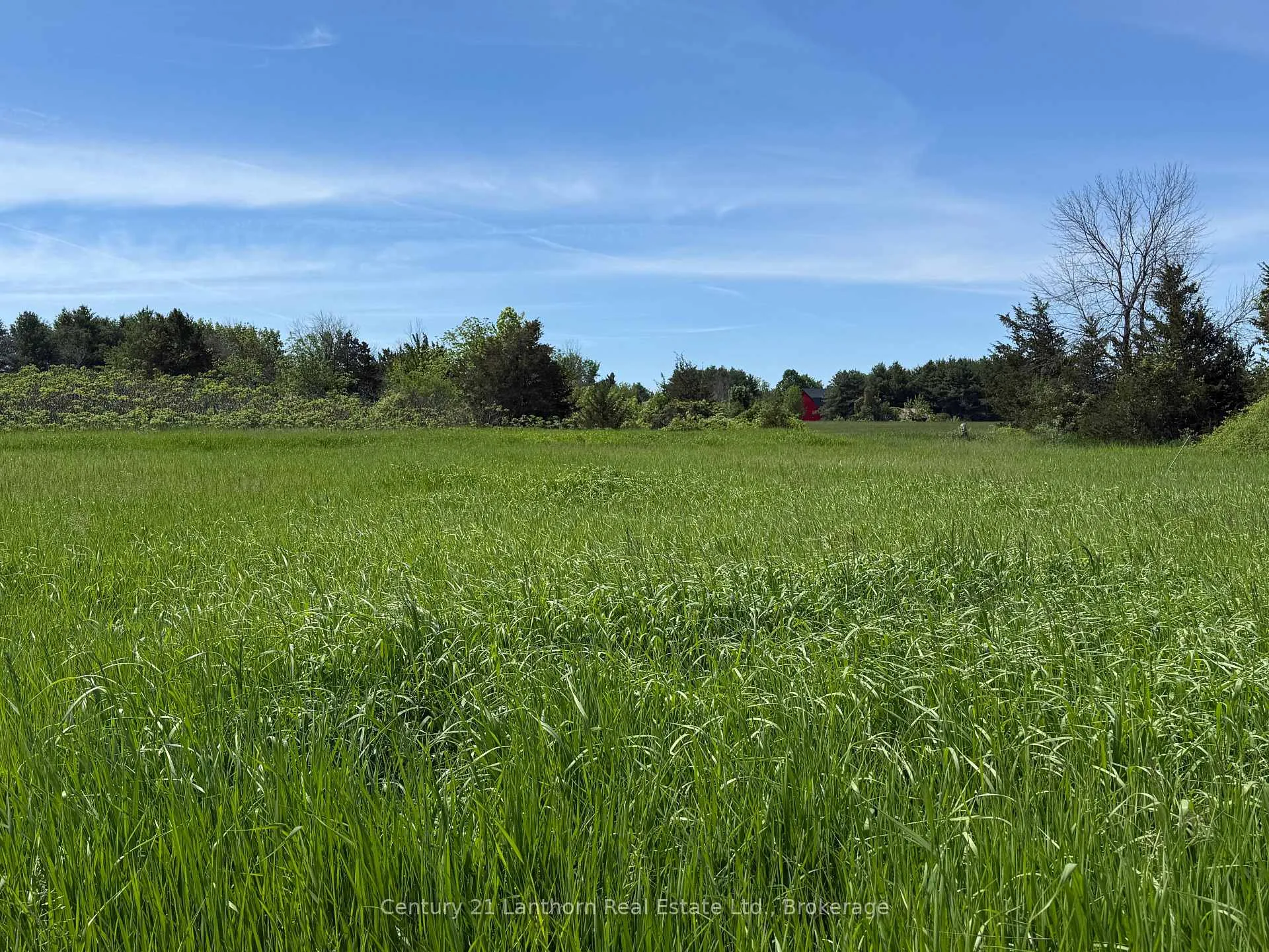 Front of Lot 57 Prinyer's Cove Crescent