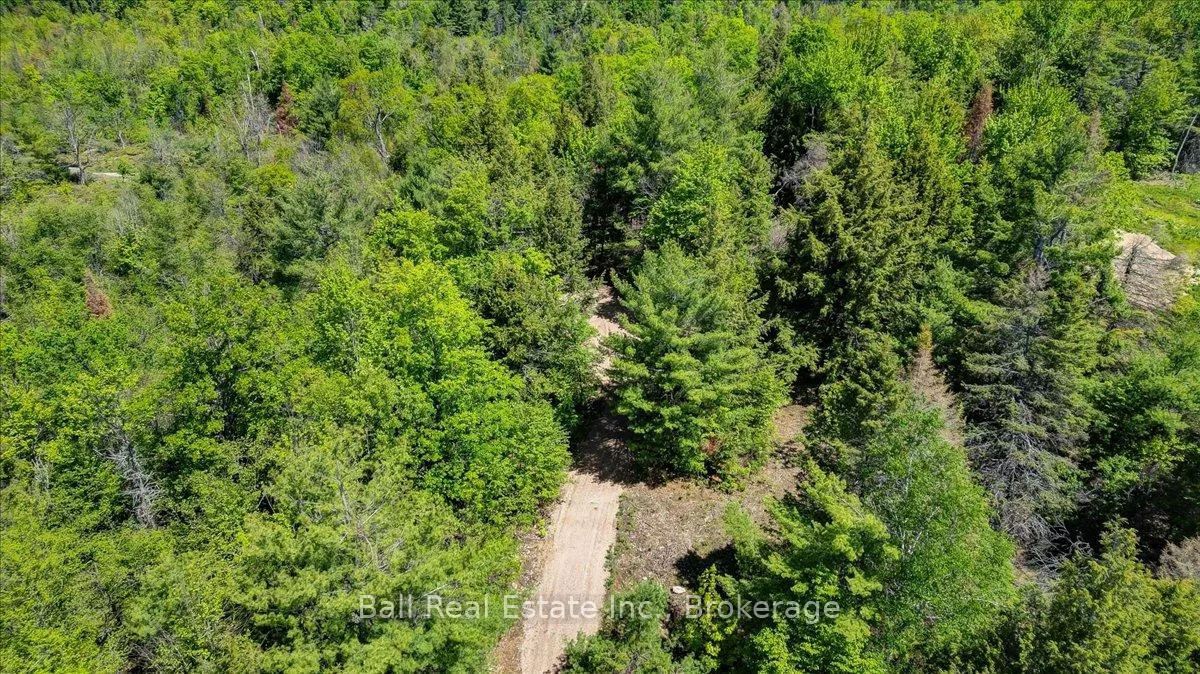 Photo 5 of 232 Lasswade Road, North Kawartha — HOMEH