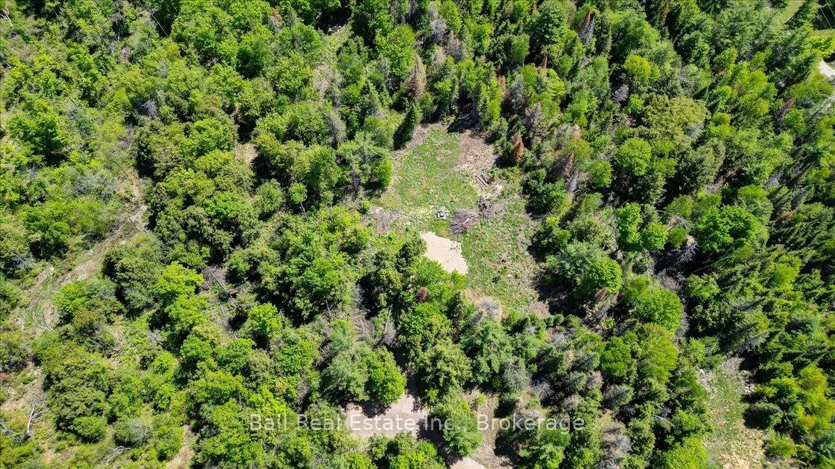 Photo 6 of 232 Lasswade Road, North Kawartha — HOMEH