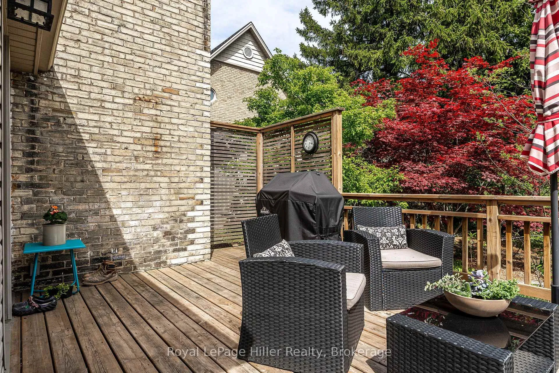 Photo 39 of 71 Douglas Street, Stratford — HOMEH