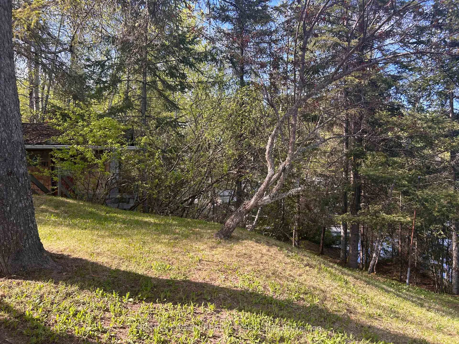 Photo 9 of 12 Paterson, Remi Lake, Moonbeam Road, Kapuskasing — HOMEH