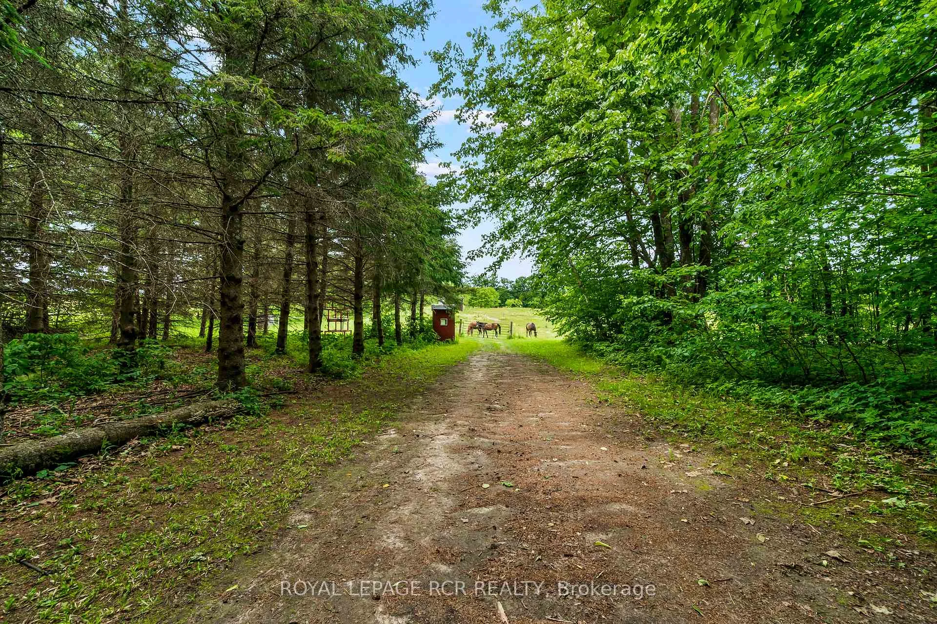 Photo 42 of 426079 25 Side Road, Mono, Rural Mono — HOMEH