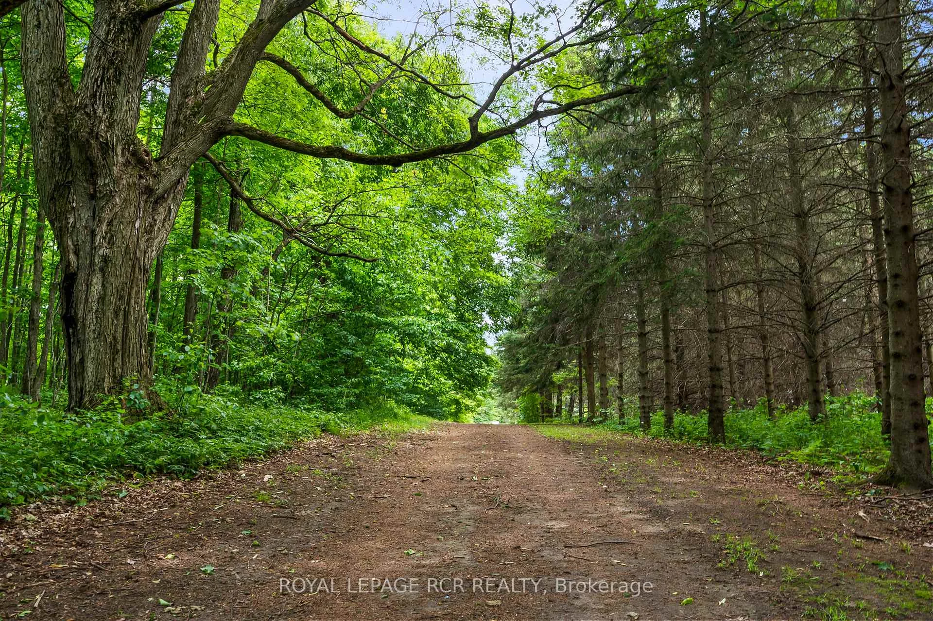Photo 44 of 426079 25 Side Road, Mono, Rural Mono — HOMEH