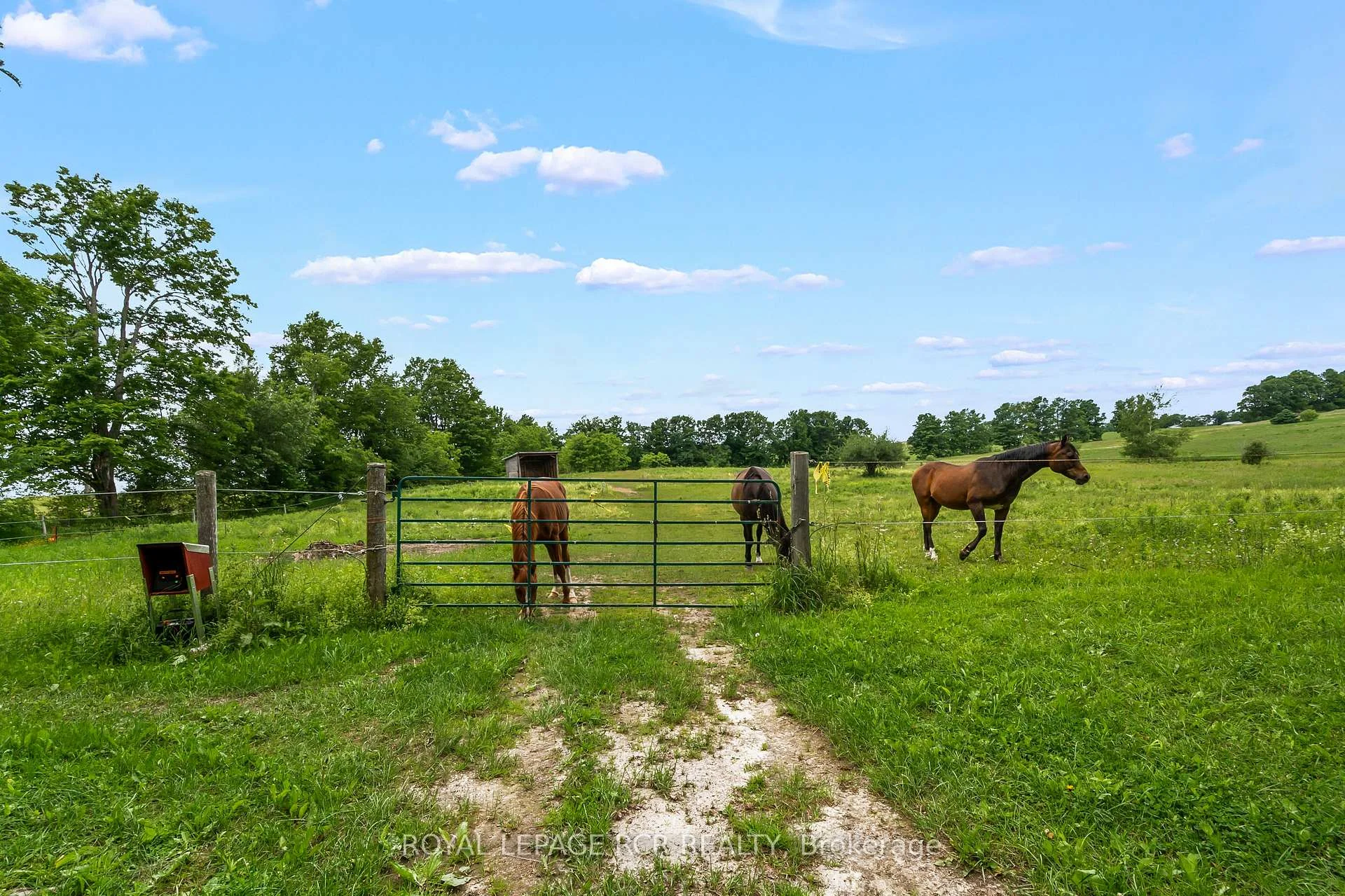 Photo 45 of 426079 25 Side Road, Mono, Rural Mono — HOMEH