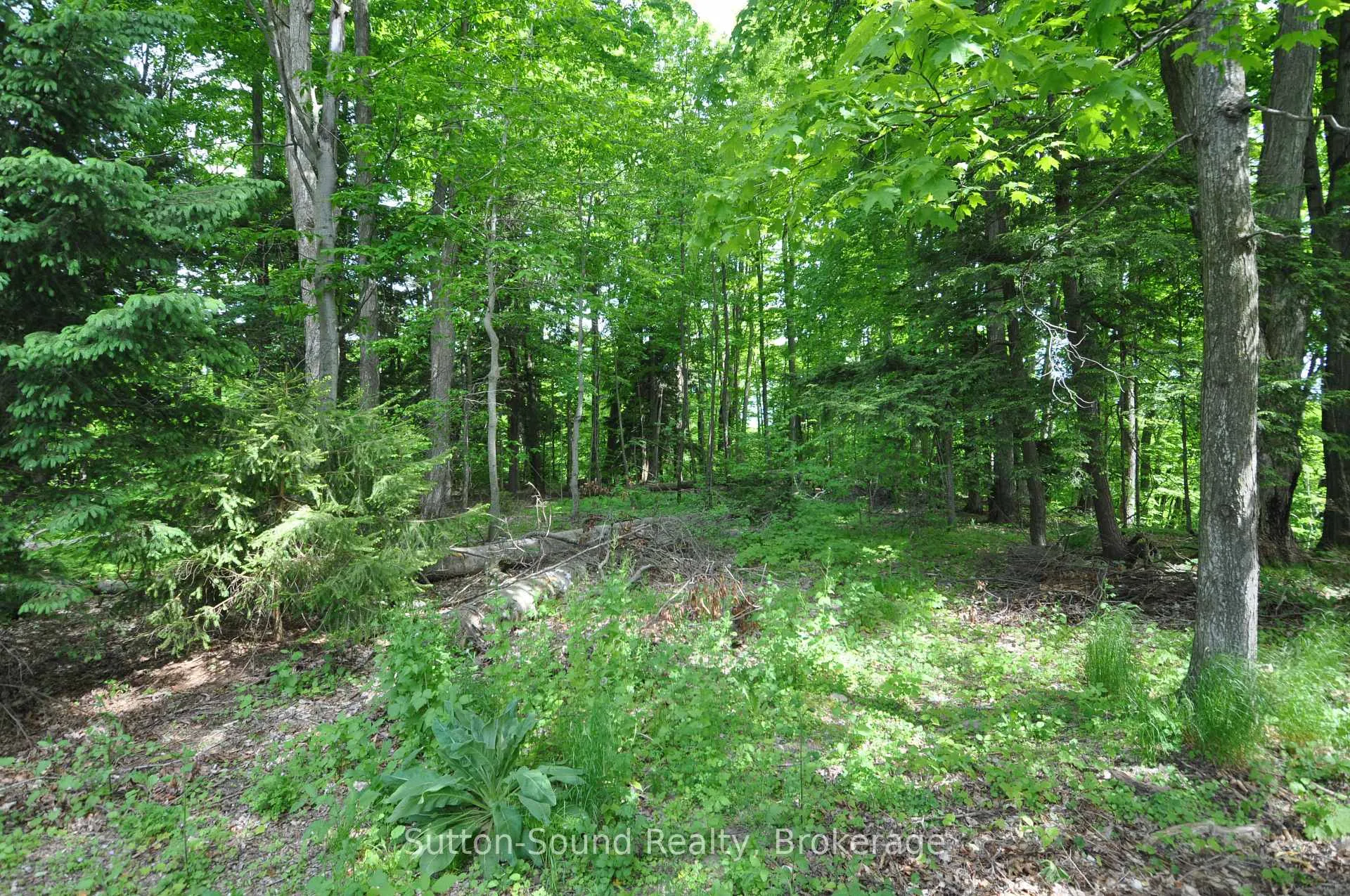 Photo 47 of 294 Forest Hill Drive, Georgian Bluffs — HOMEH