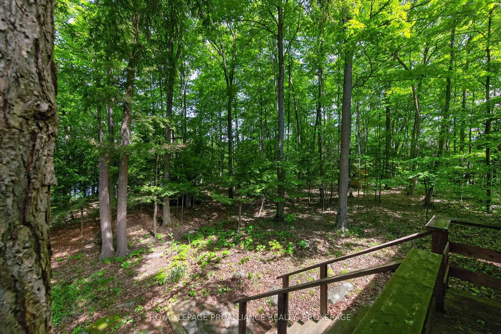 Photo 20 of 1147 Shadow Lane, Frontenac, Frontenac South — HOMEH