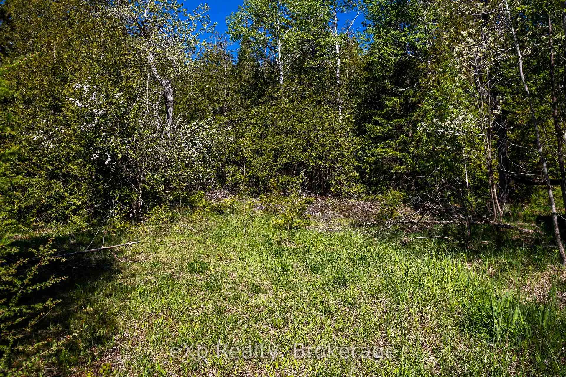 Photo 7 of 205 East Road, Northern Bruce Peninsula — HOMEH
