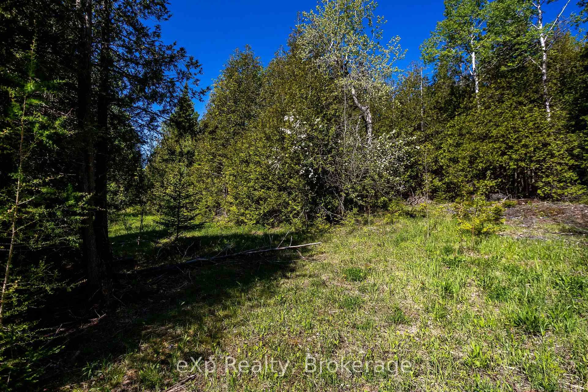 Photo 8 of 205 East Road, Northern Bruce Peninsula — HOMEH