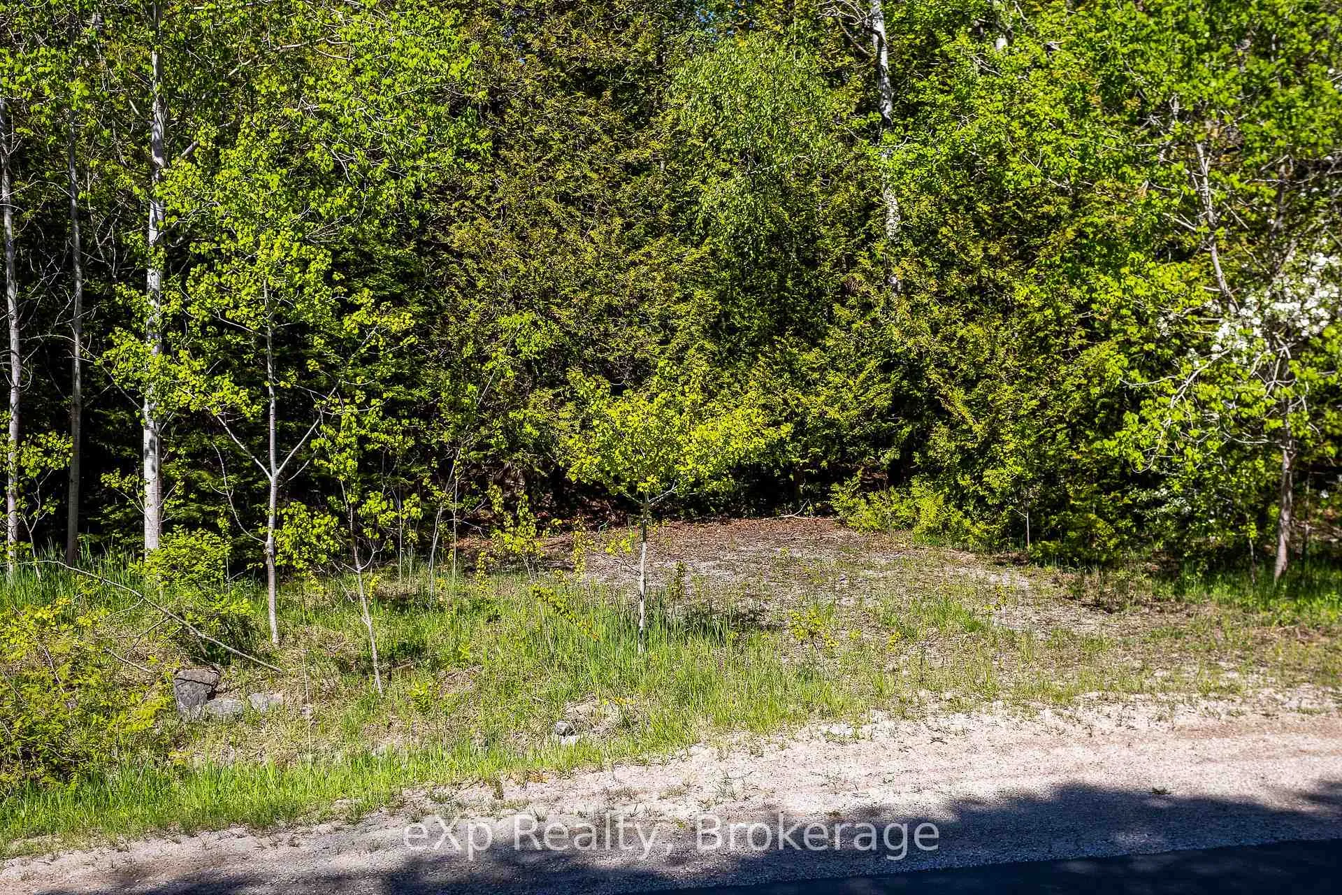 Photo 19 of 205 East Road, Northern Bruce Peninsula — HOMEH
