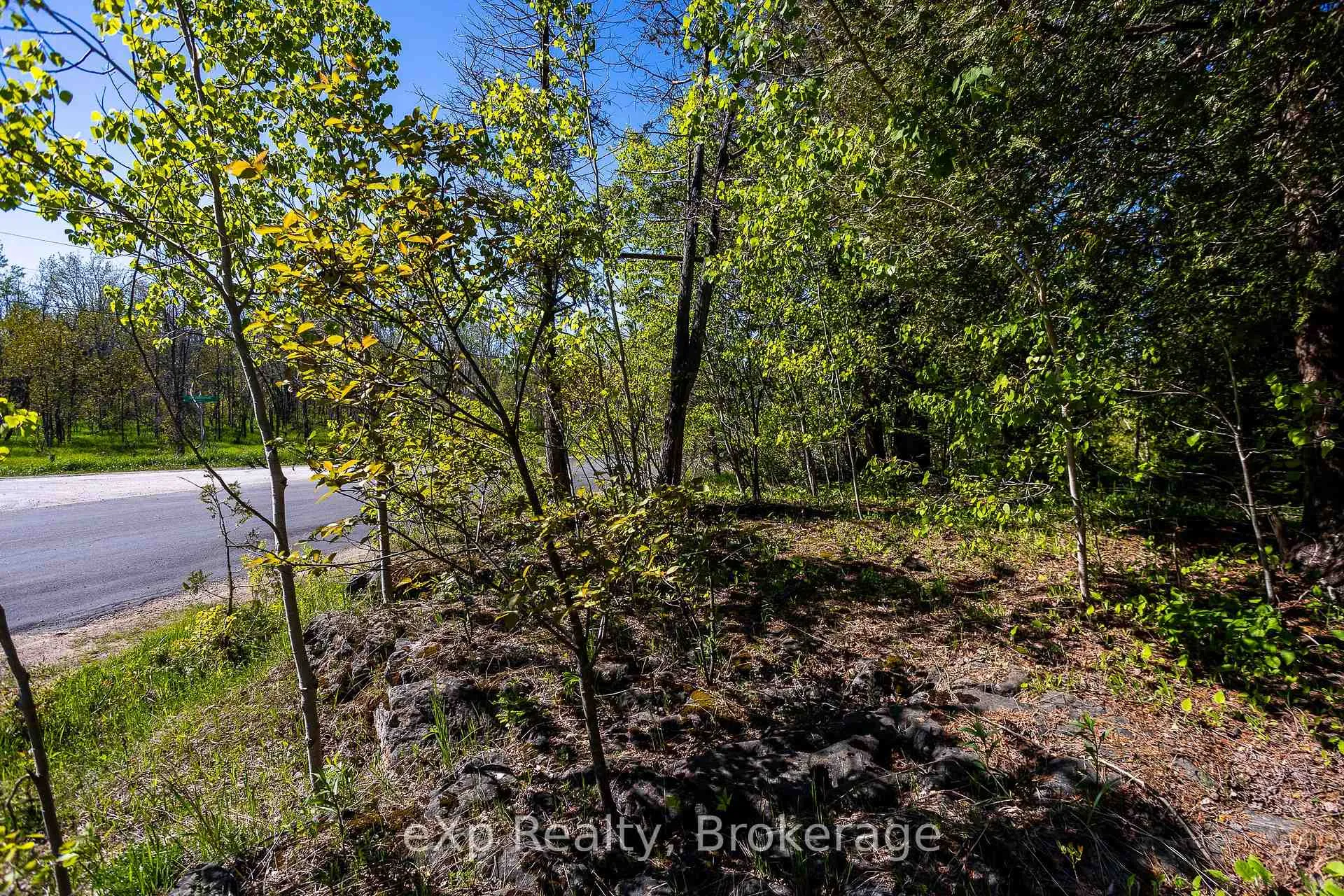 Photo 20 of 205 East Road, Northern Bruce Peninsula — HOMEH