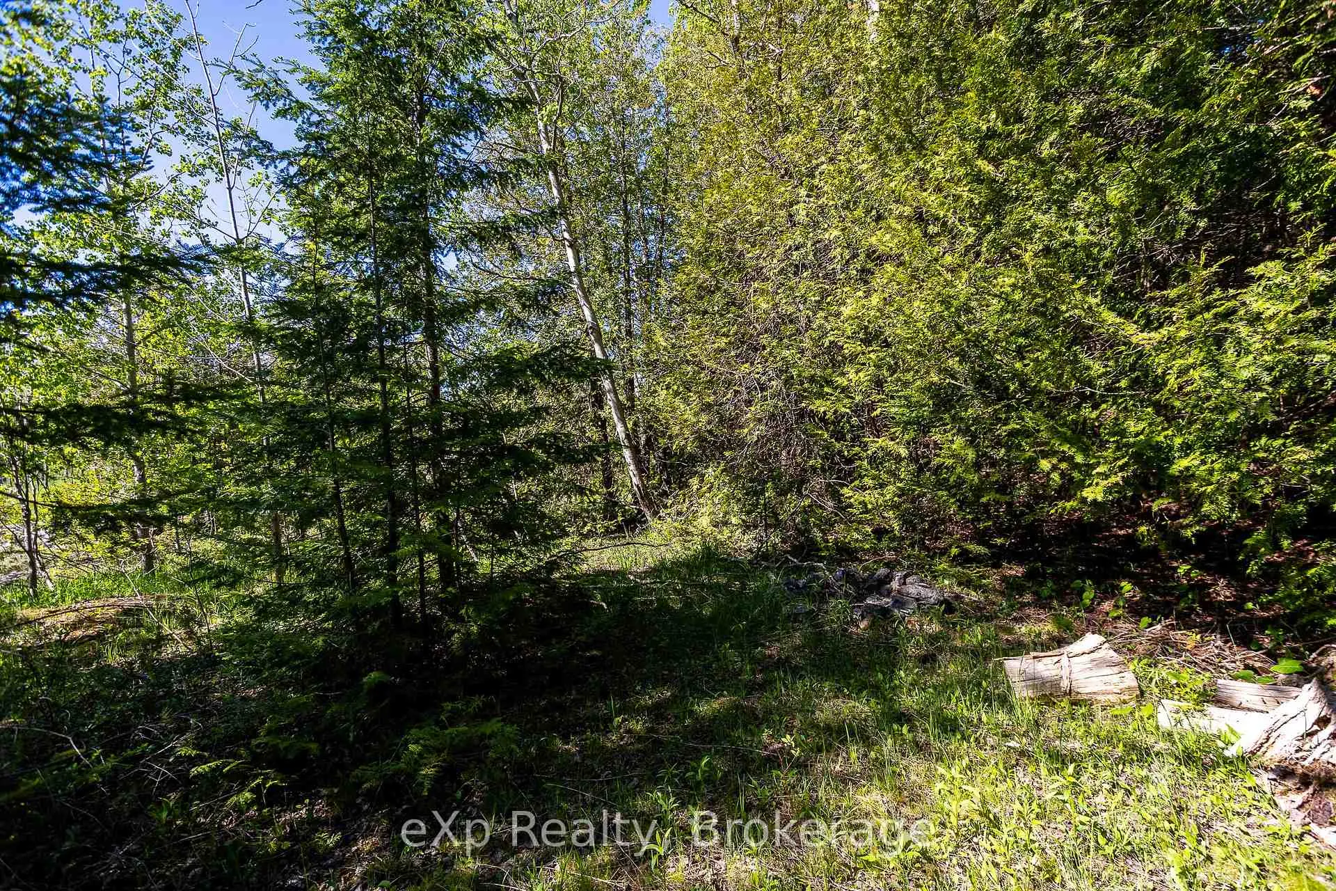 Photo 21 of 205 East Road, Northern Bruce Peninsula — HOMEH