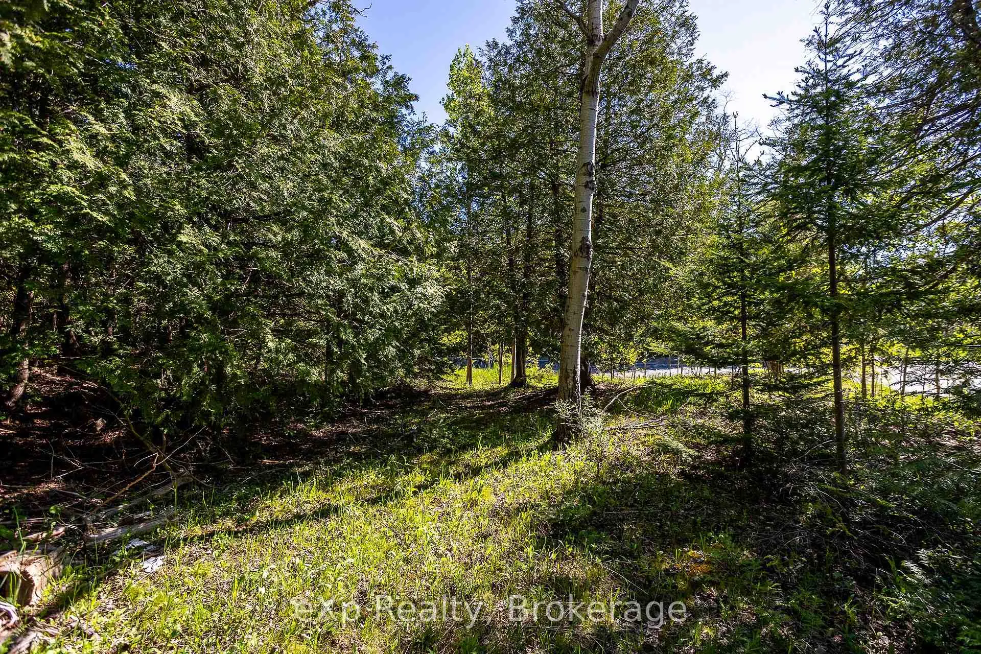 Photo 22 of 205 East Road, Northern Bruce Peninsula — HOMEH