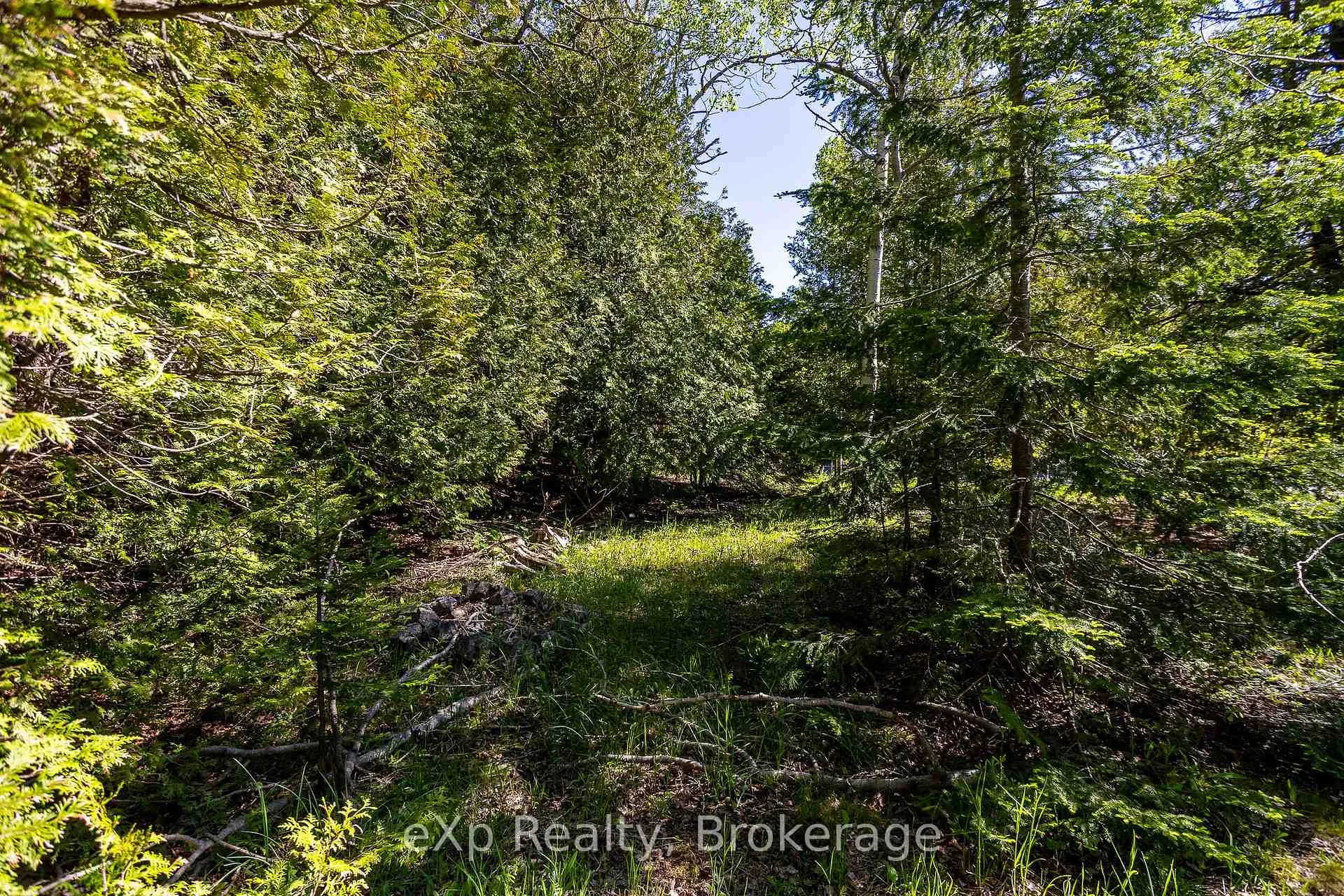 Photo 23 of 205 East Road, Northern Bruce Peninsula — HOMEH