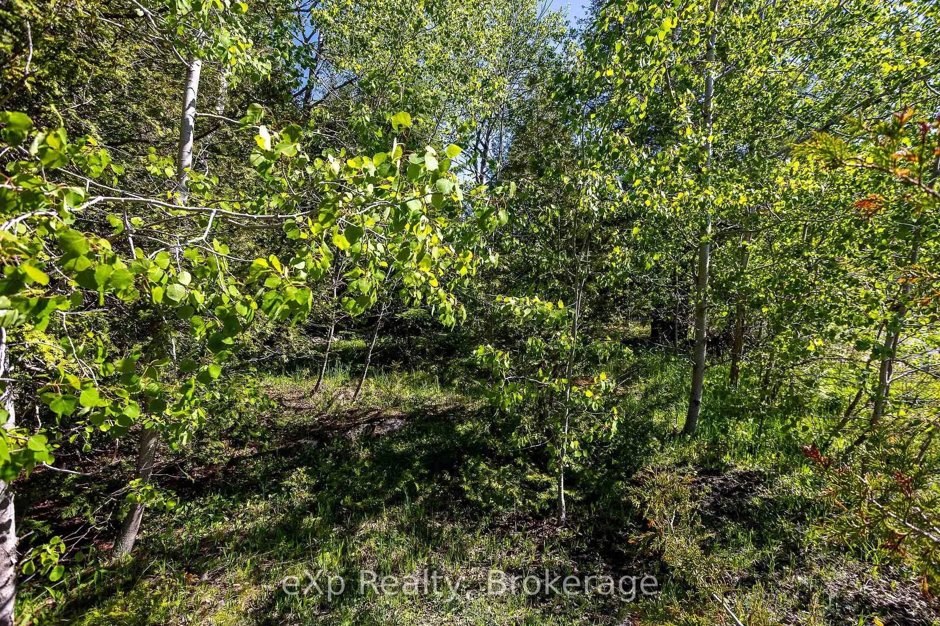Photo 24 of 205 East Road, Northern Bruce Peninsula — HOMEH