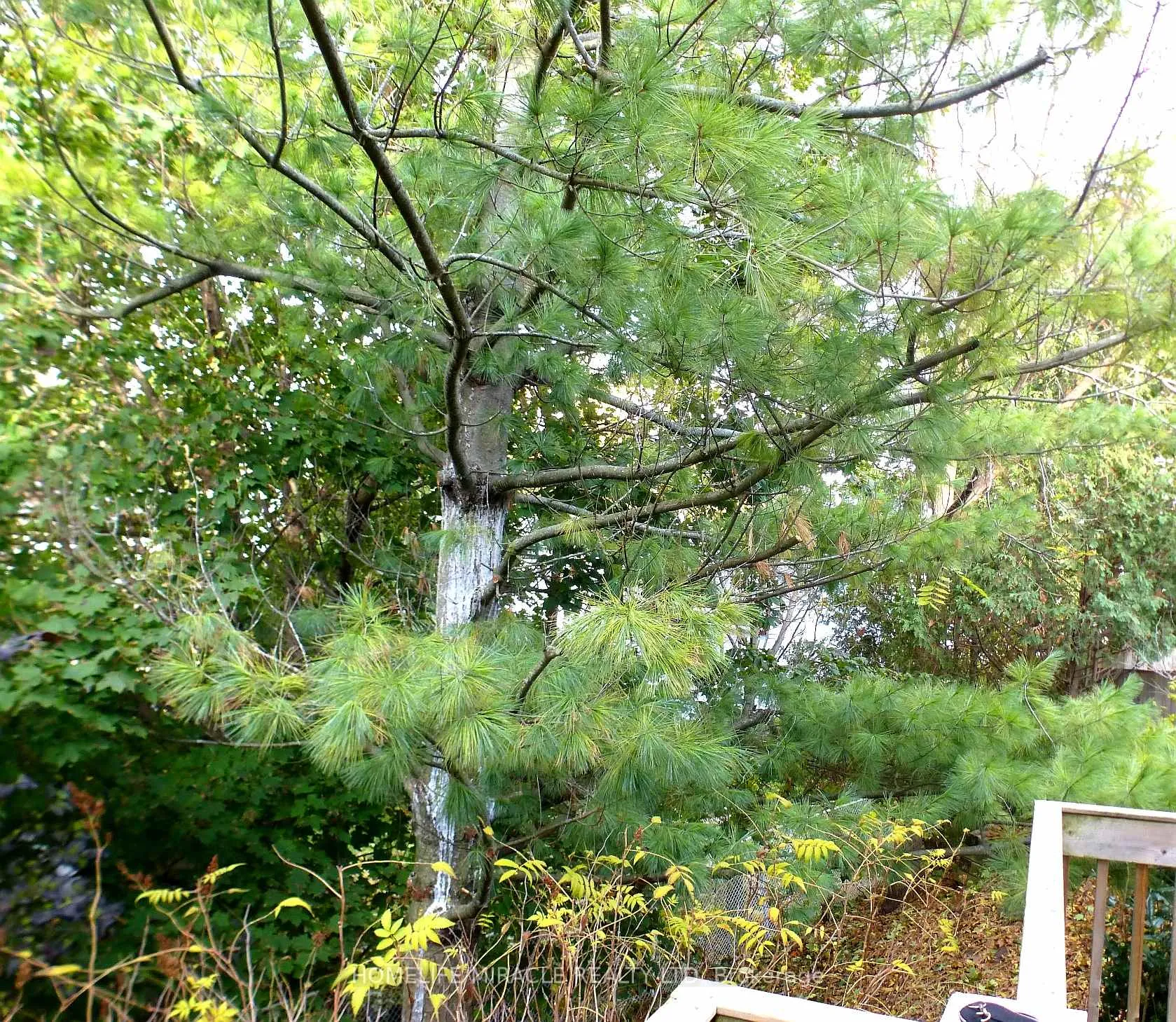 Photo 44 of 114 Glencliffe Court, Kitchener — HOMEH