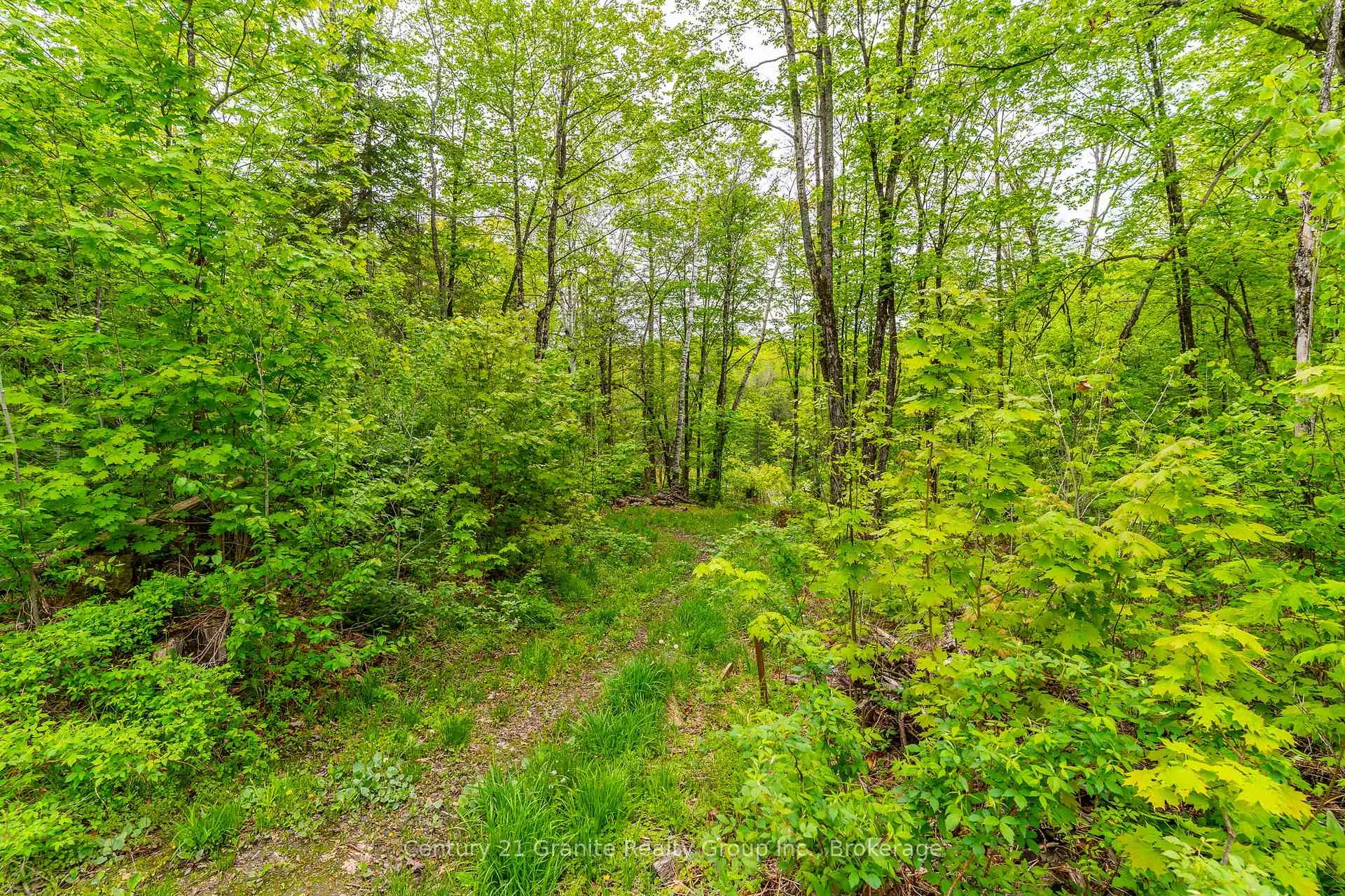 Photo 47 of 18240 Highway 118, Highlands East, Monmouth — HOMEH