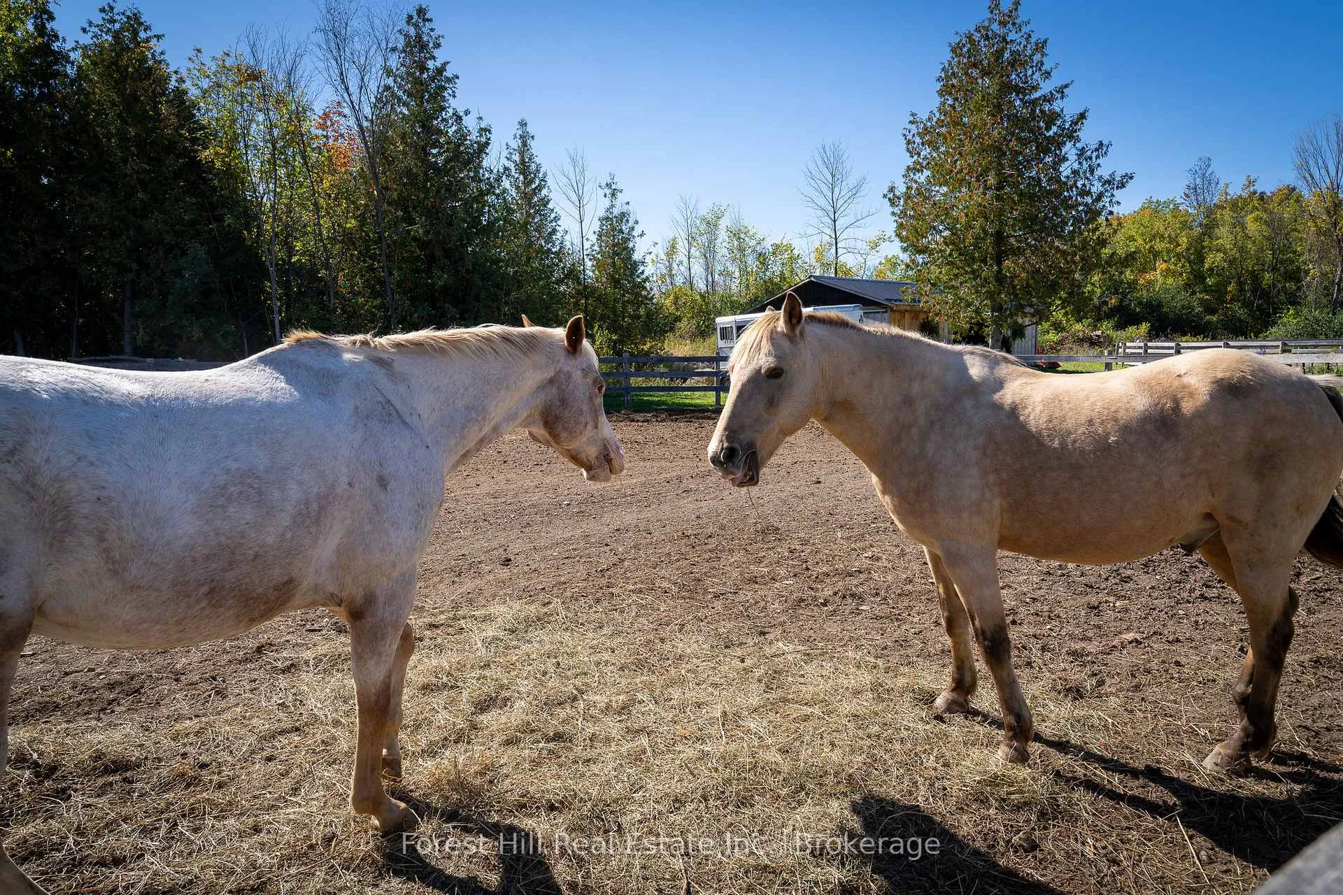 Photo 32 of 496629 Grey Road 2, Blue Mountains — HOMEH