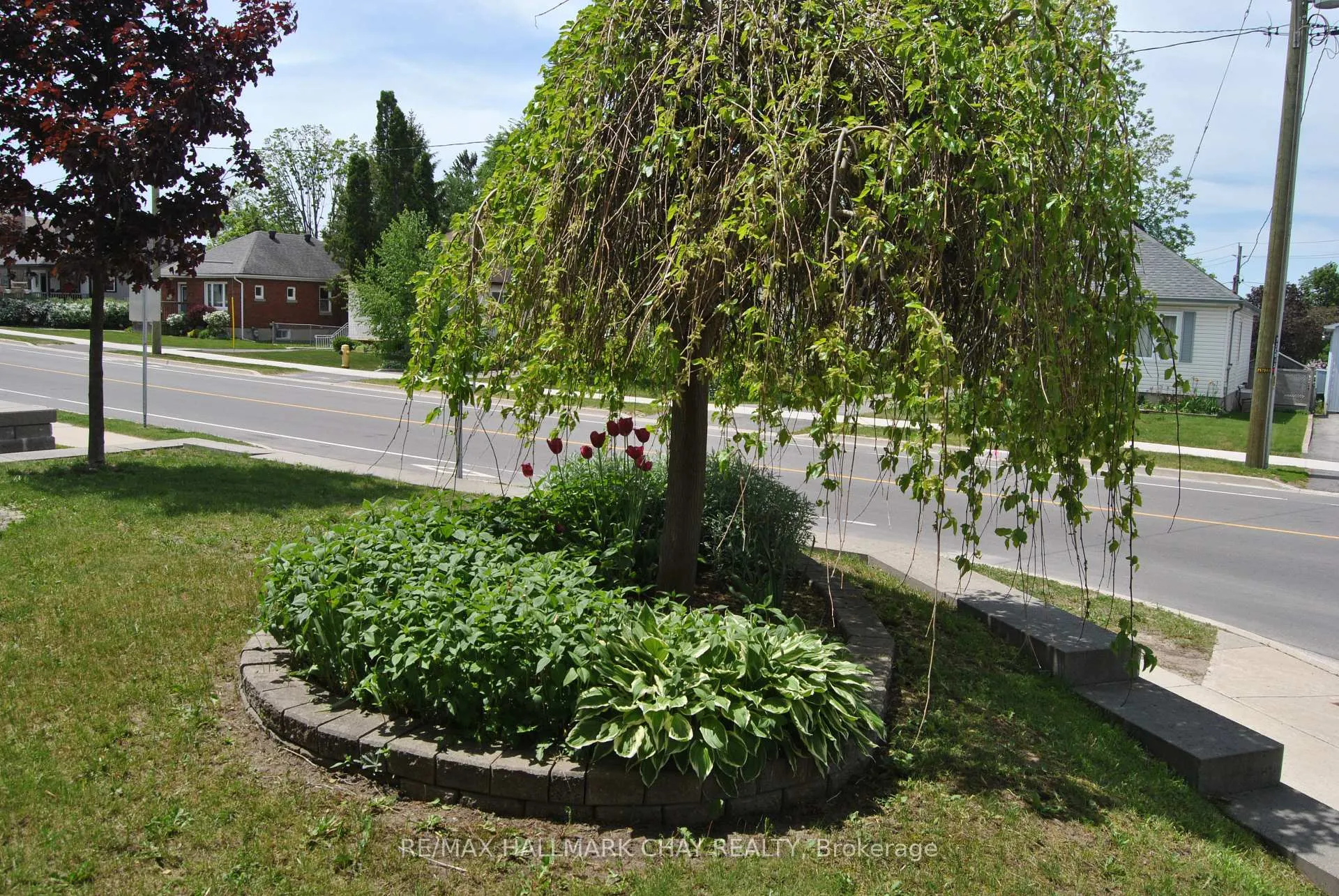 Photo 34 of 227 Duckworth Street, Barrie, Codrington — HOMEH