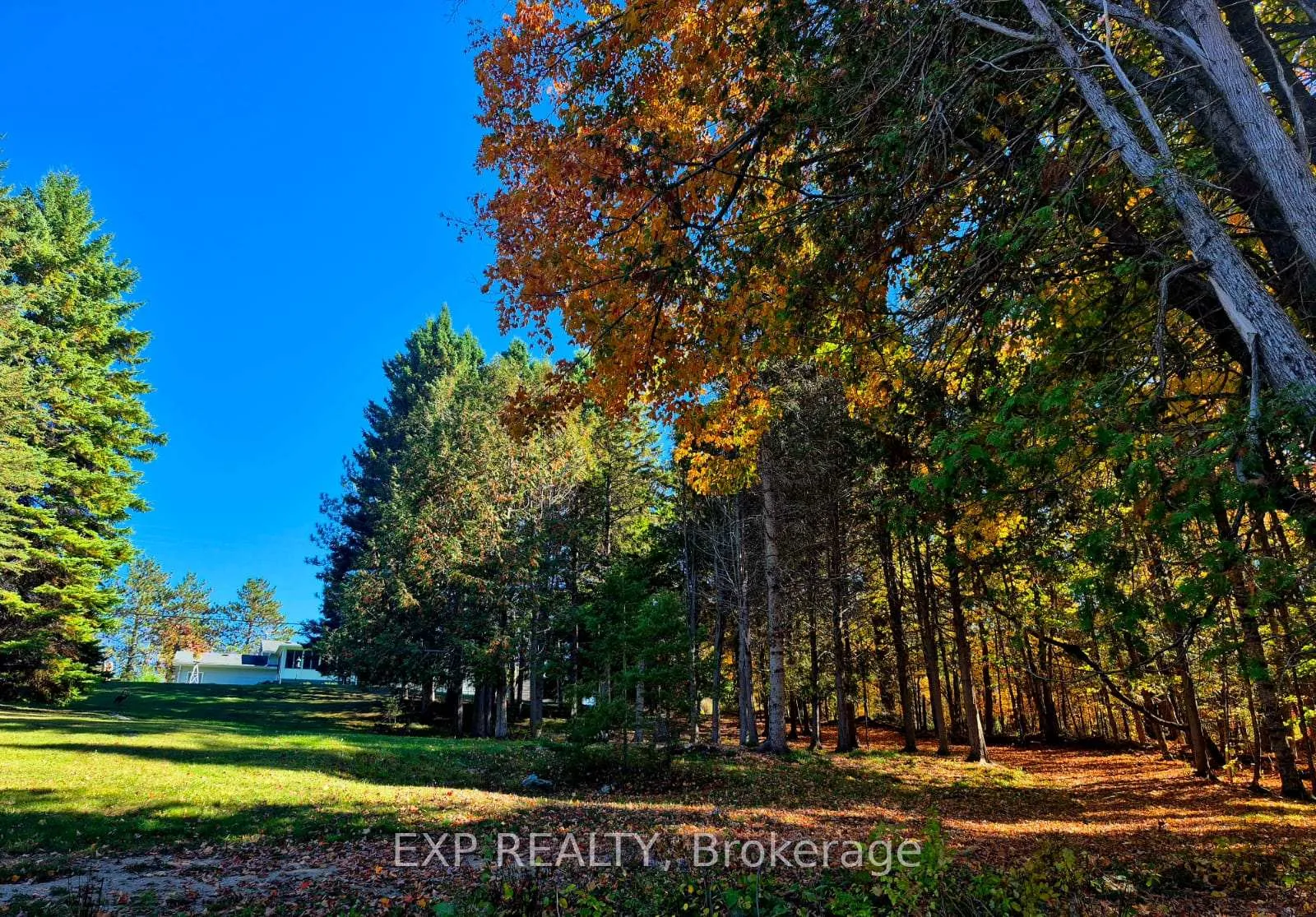 Photo 48 of 1719 Weslemkoon Lake Road, Limerick — HOMEH
