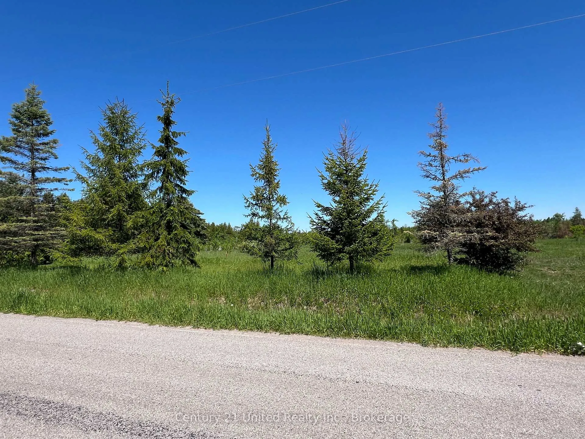 Photo 5 of 1784 7th Line, Selwyn — HOMEH