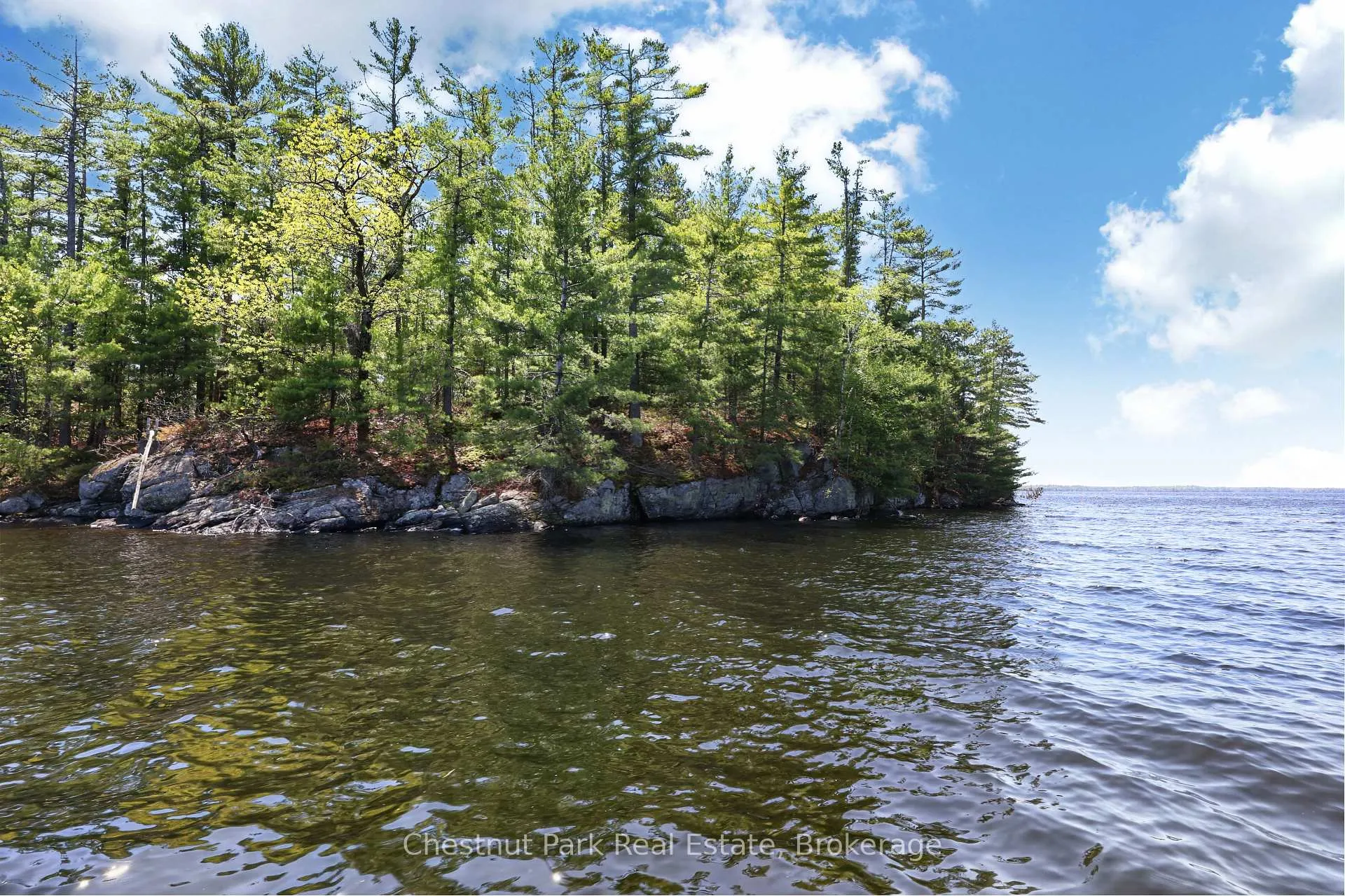 Photo of 1 Island 20ML