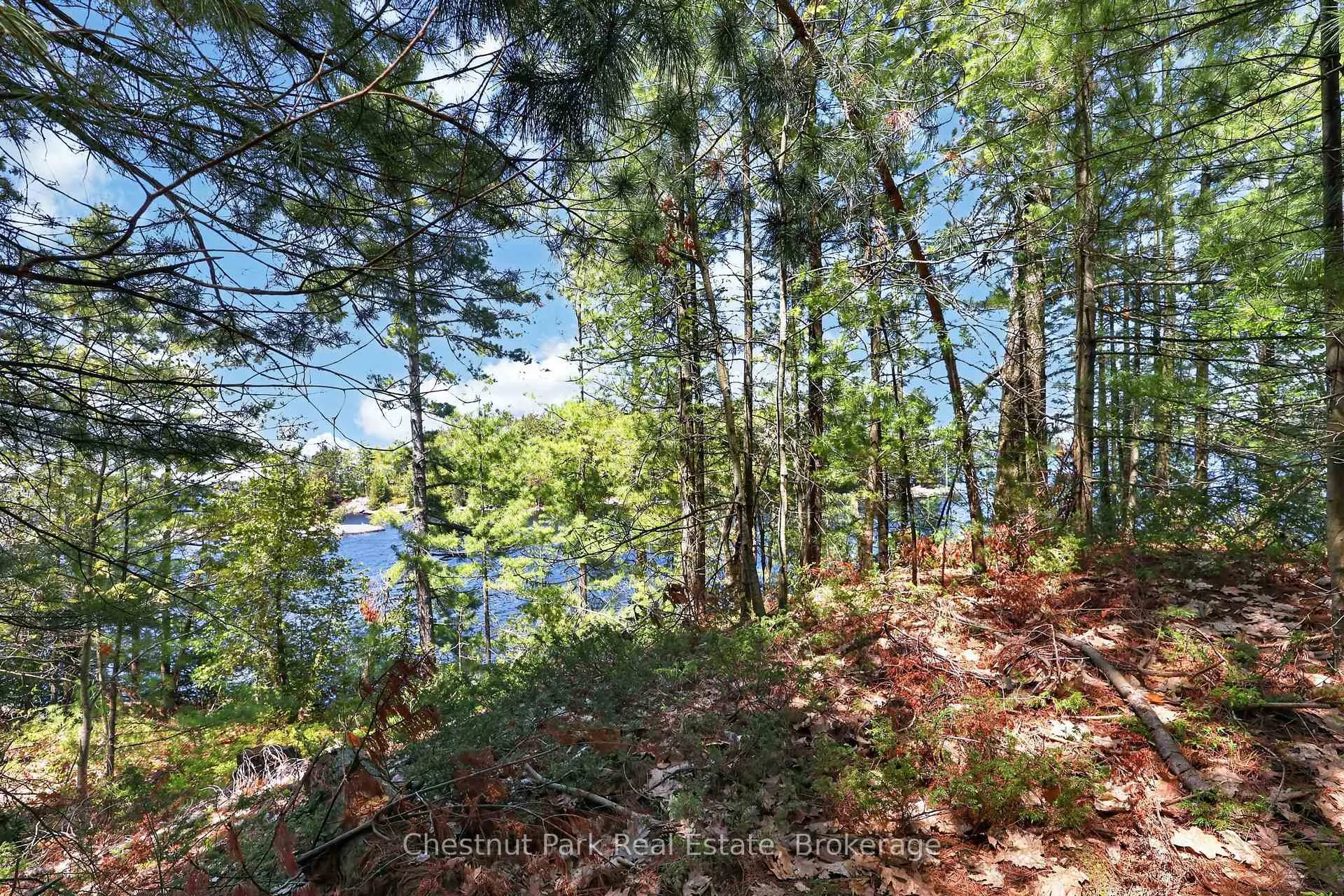 Photo 8 of 1 Island 20ML, Gravenhurst, Muskoka (S) — HOMEH