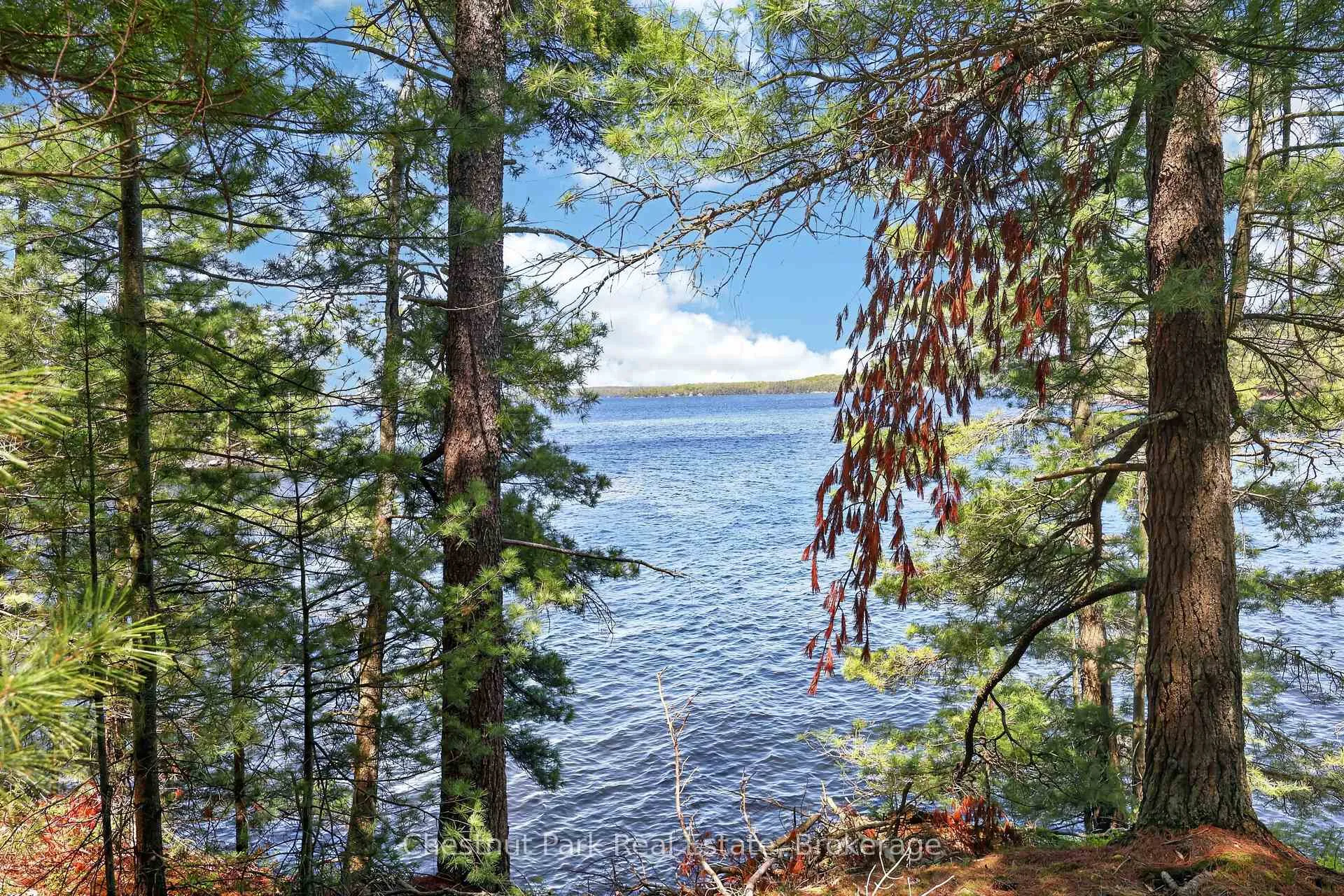Photo 9 of 1 Island 20ML, Gravenhurst, Muskoka (S) — HOMEH