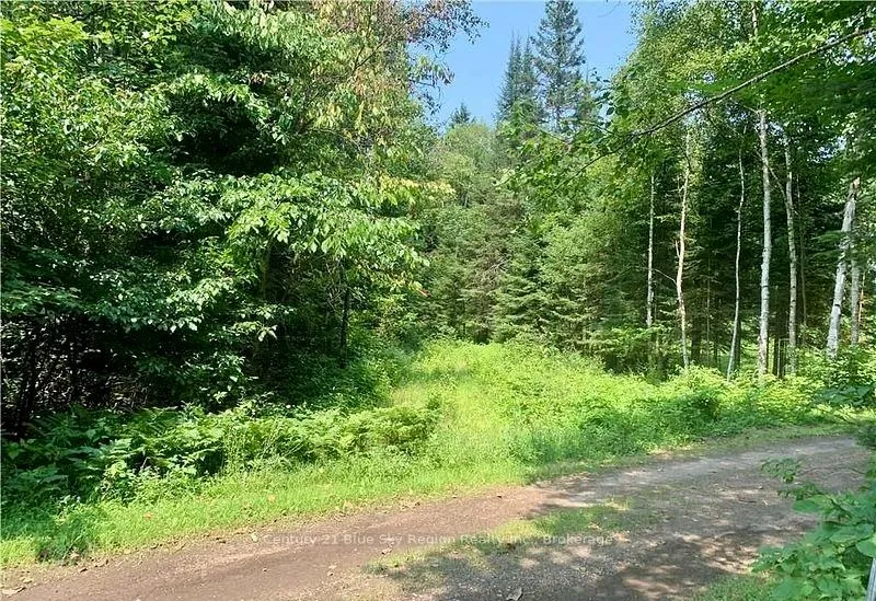 Photo of 324 Proudfoot Road N