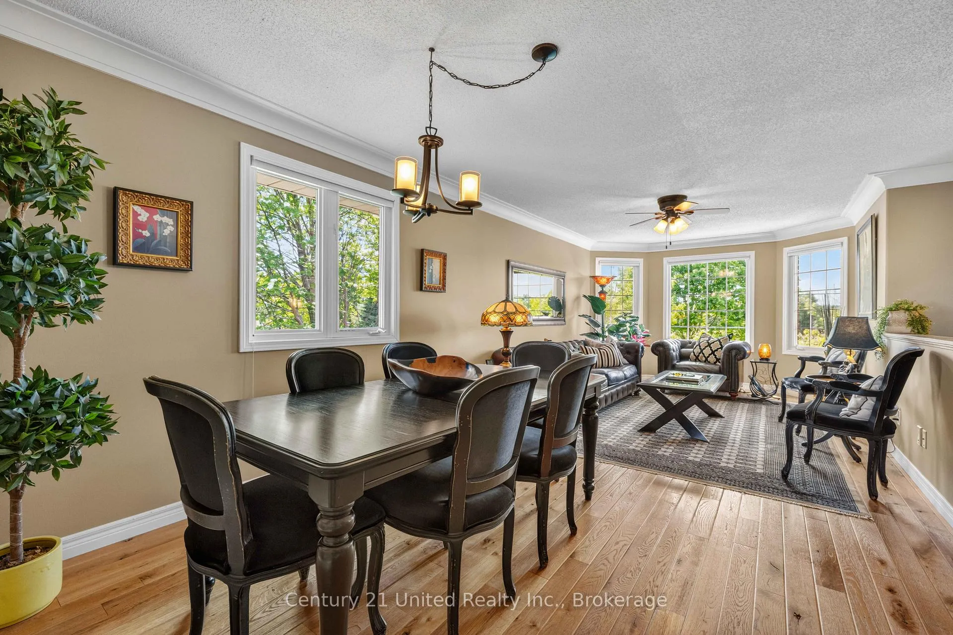 Photo 6 of 2872 Lakefield Road, Selwyn — HOMEH