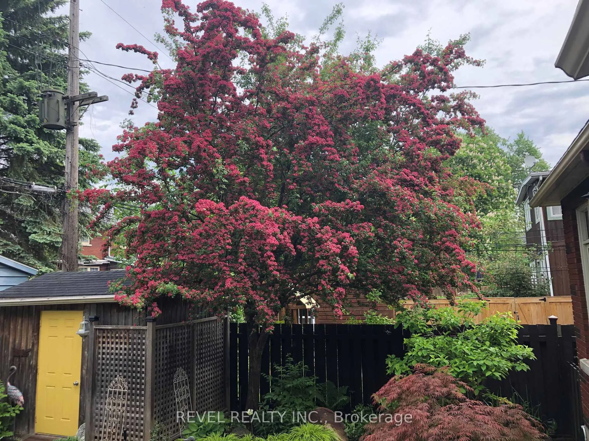 Photo 41 of 381 Third Avenue, Ottawa, Glebe — HOMEH