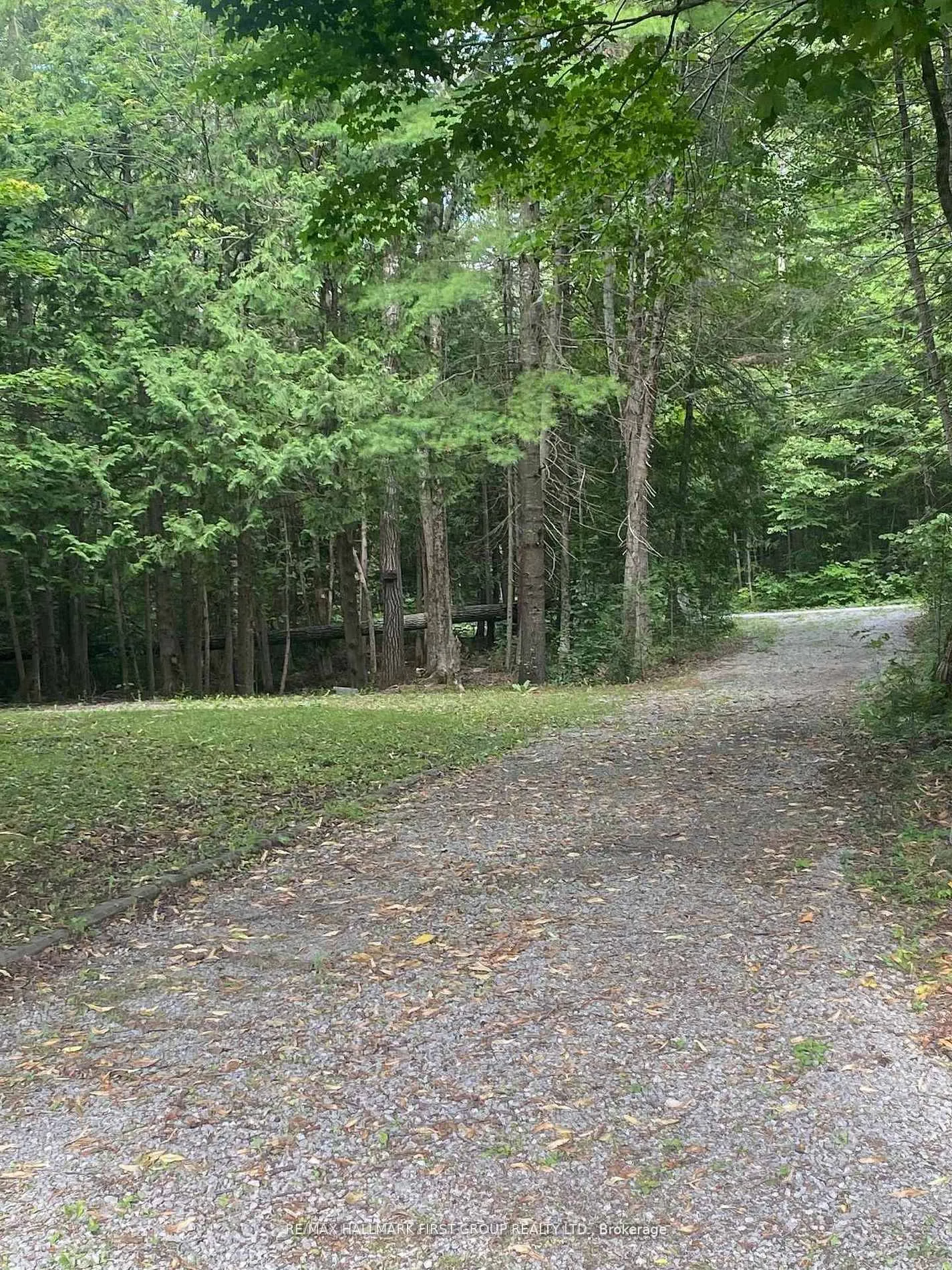Photo 4 of 94 Everett Road, Kawartha Lakes, Bexley — HOMEH