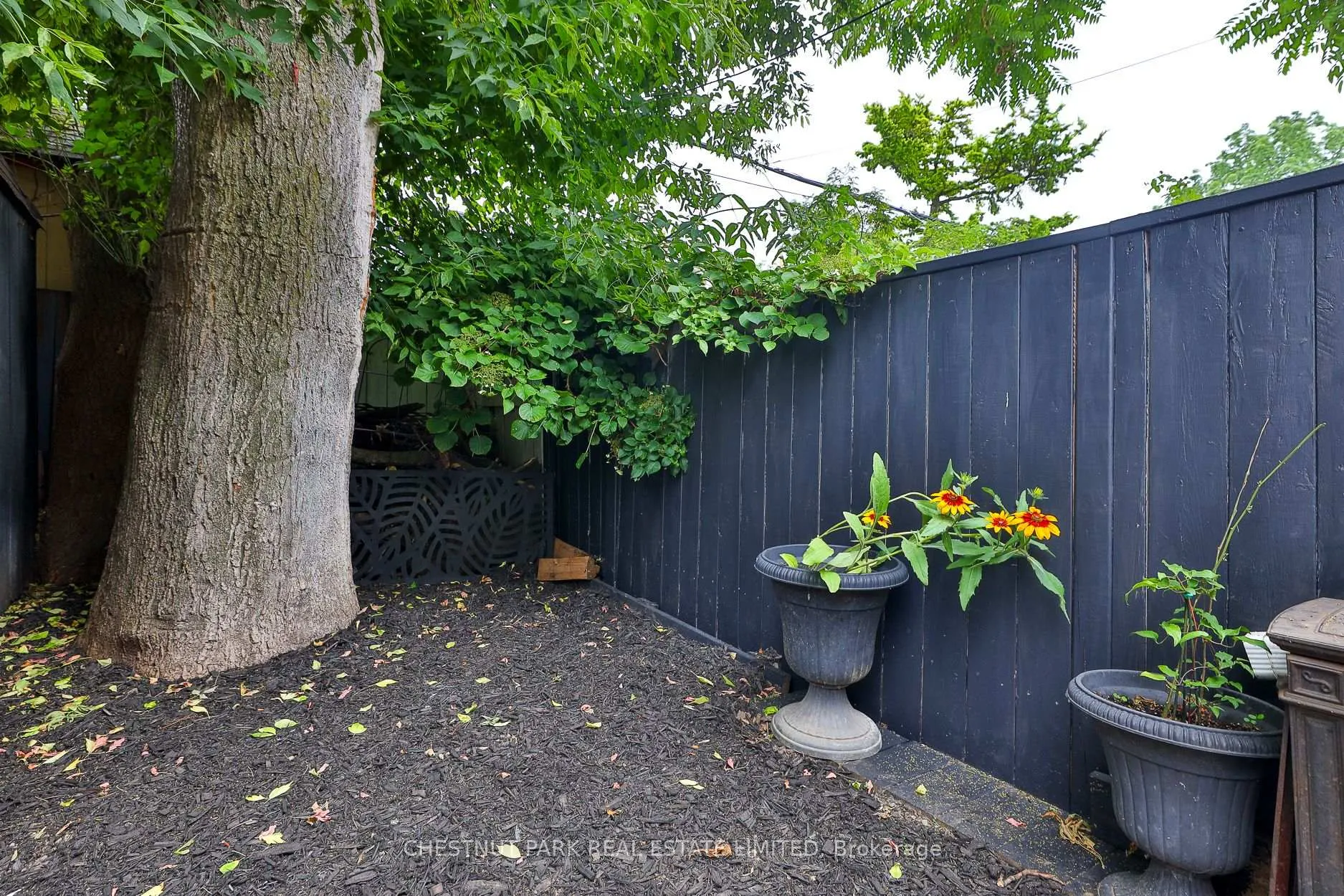 Photo 29 of 119 Craven Road, Toronto, Greenwood-Coxwell — HOMEH